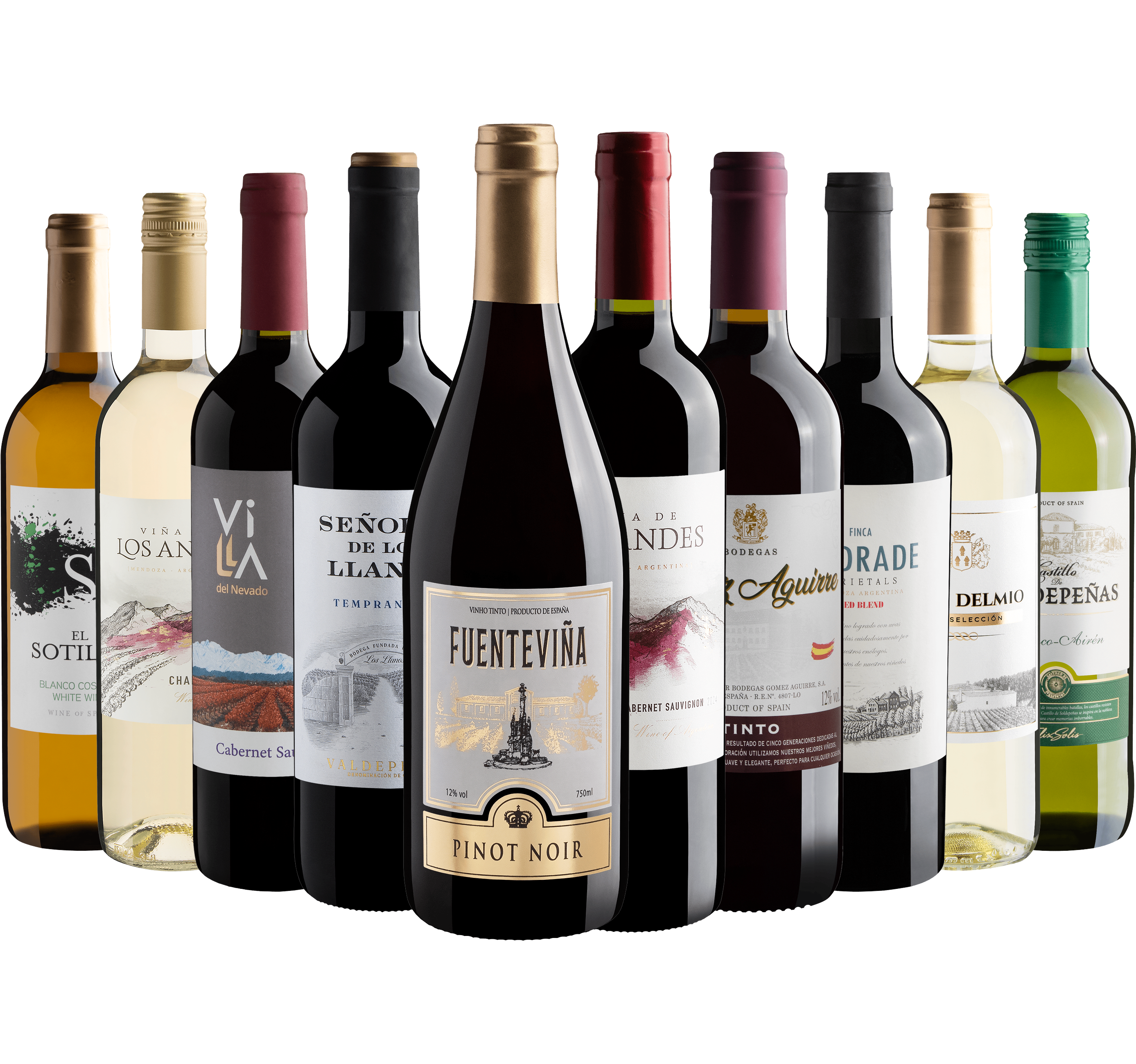 Kit 10 Vinhos Mais Pedidos por R$29,90 cada garrafa + Frete Grátis
