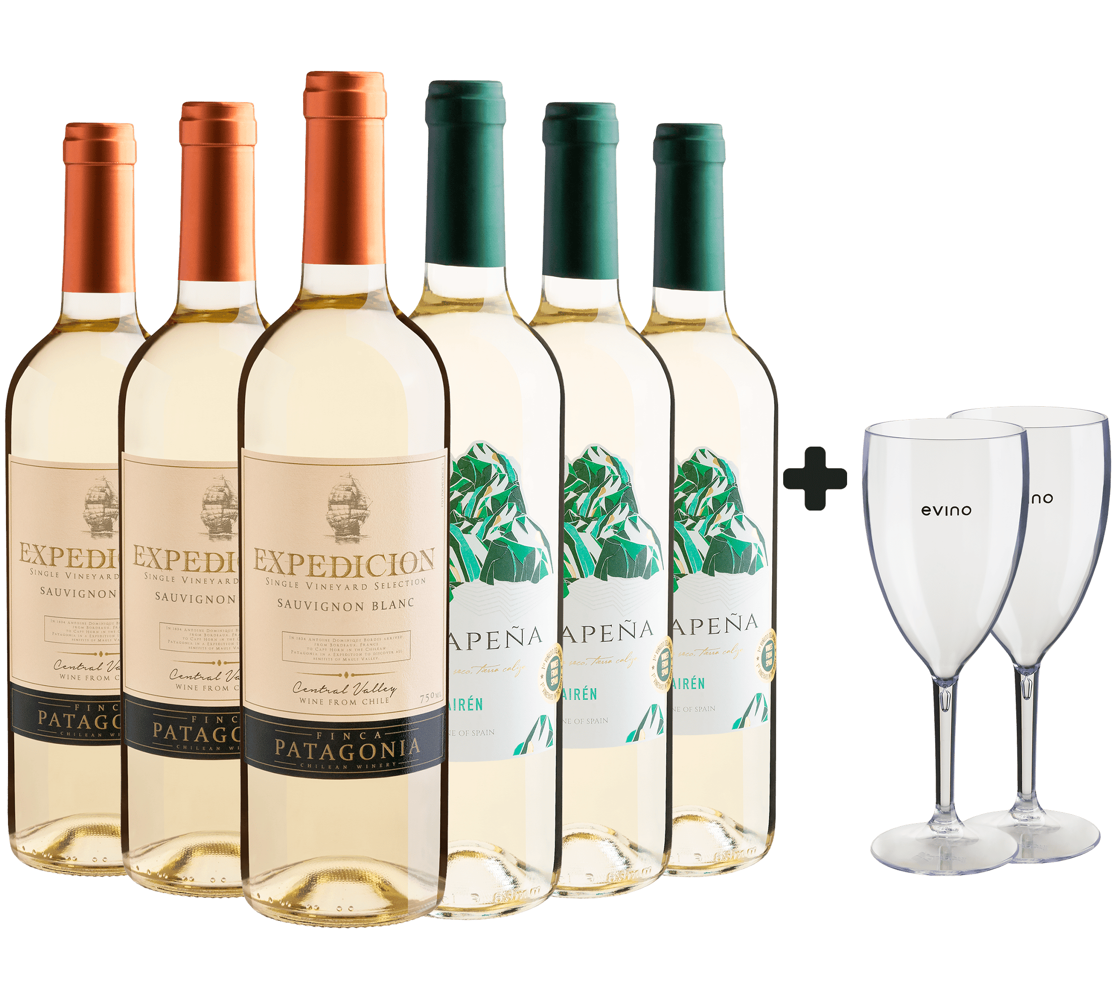 Kit 6 Vinhos Brancos Best Sellers + 2 Taças Exclusivas
