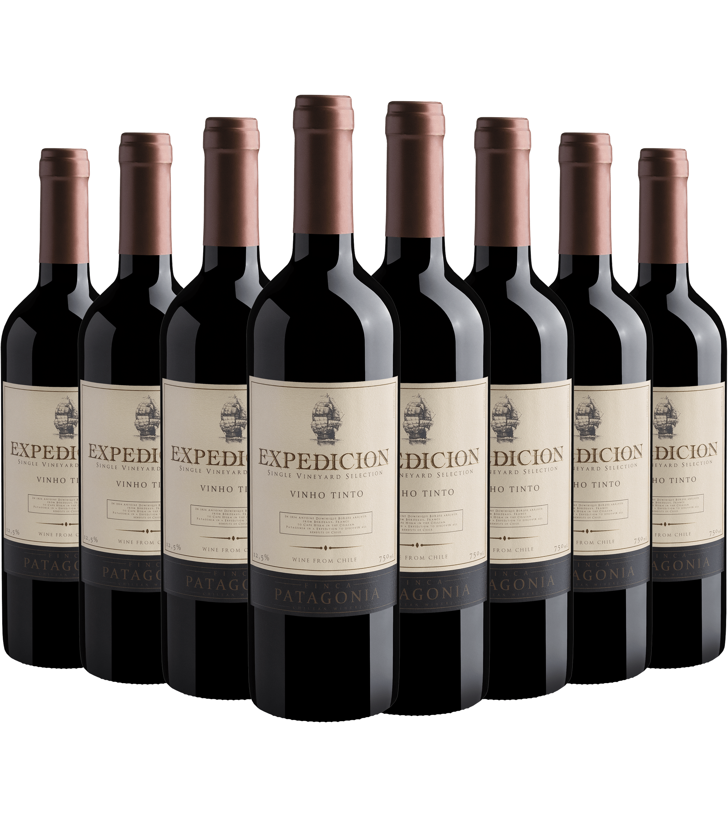 Kit 8 Finca Patagonia Expedicion Single Vineyard Selection Vinho Tinto*