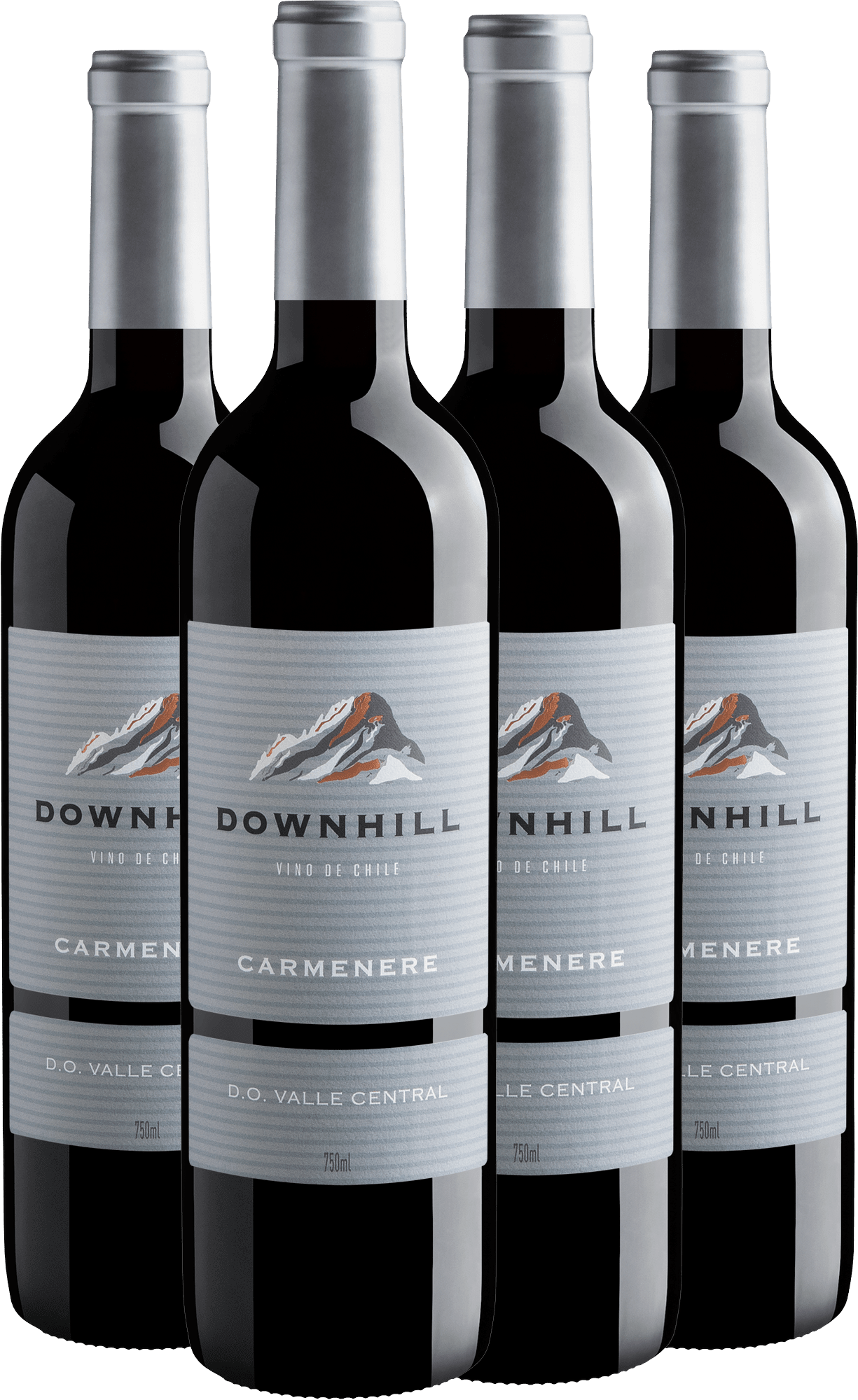 Kit 4 Downhill Carménère Valle Central D.O. + Frete Grátis*