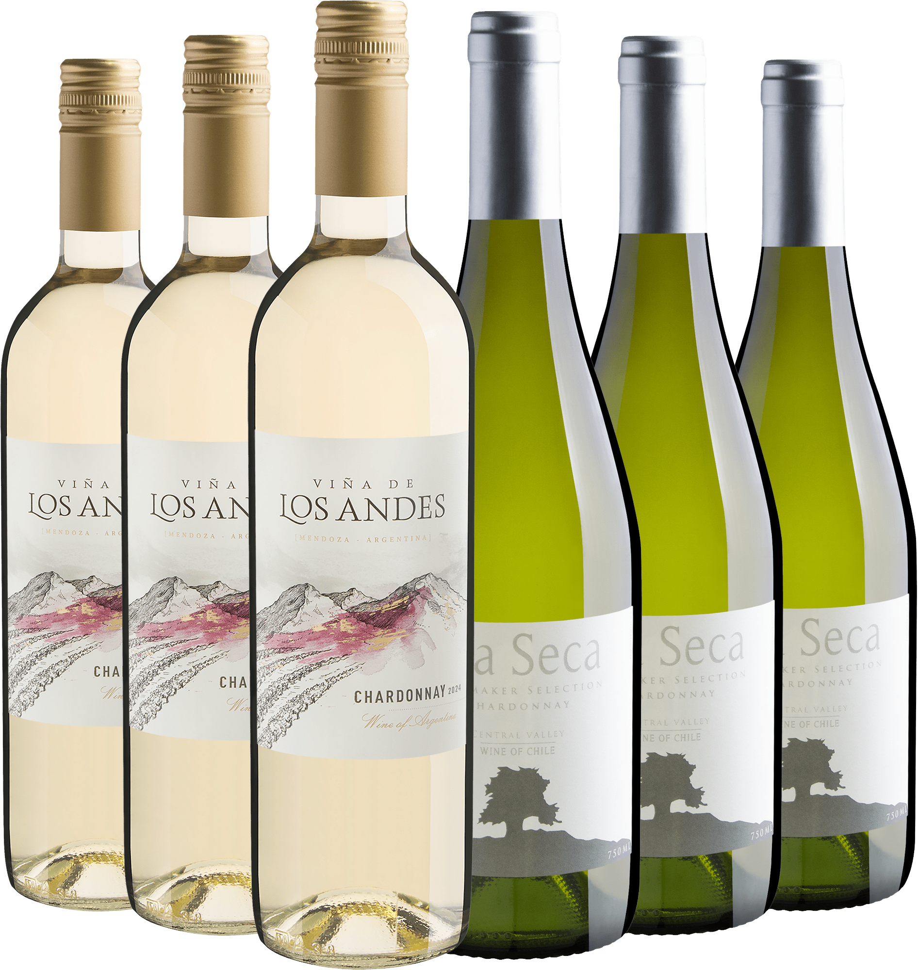 Kit 6 Chardonnays por R$27,90 cada garrafa
