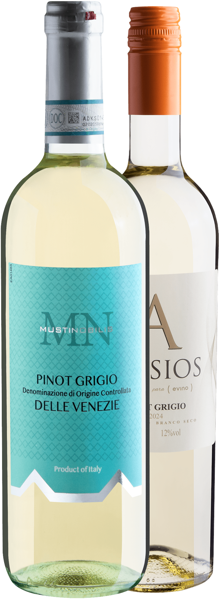 Kit Especial Pinot Grigio | 2 garrafas