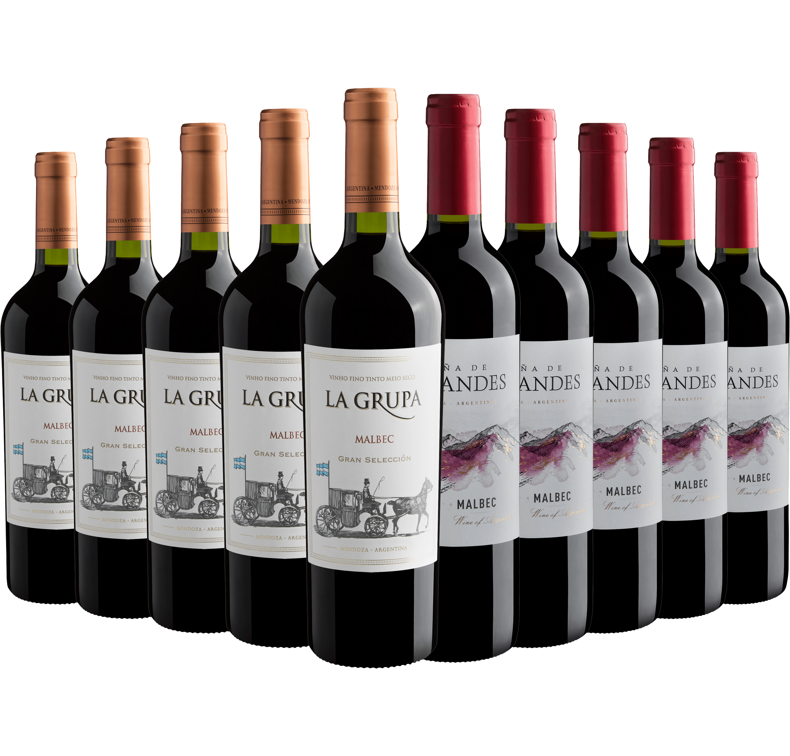Kit Malbecs | 5 La Grupa Gran Selección + 5 Viña de Los Andes