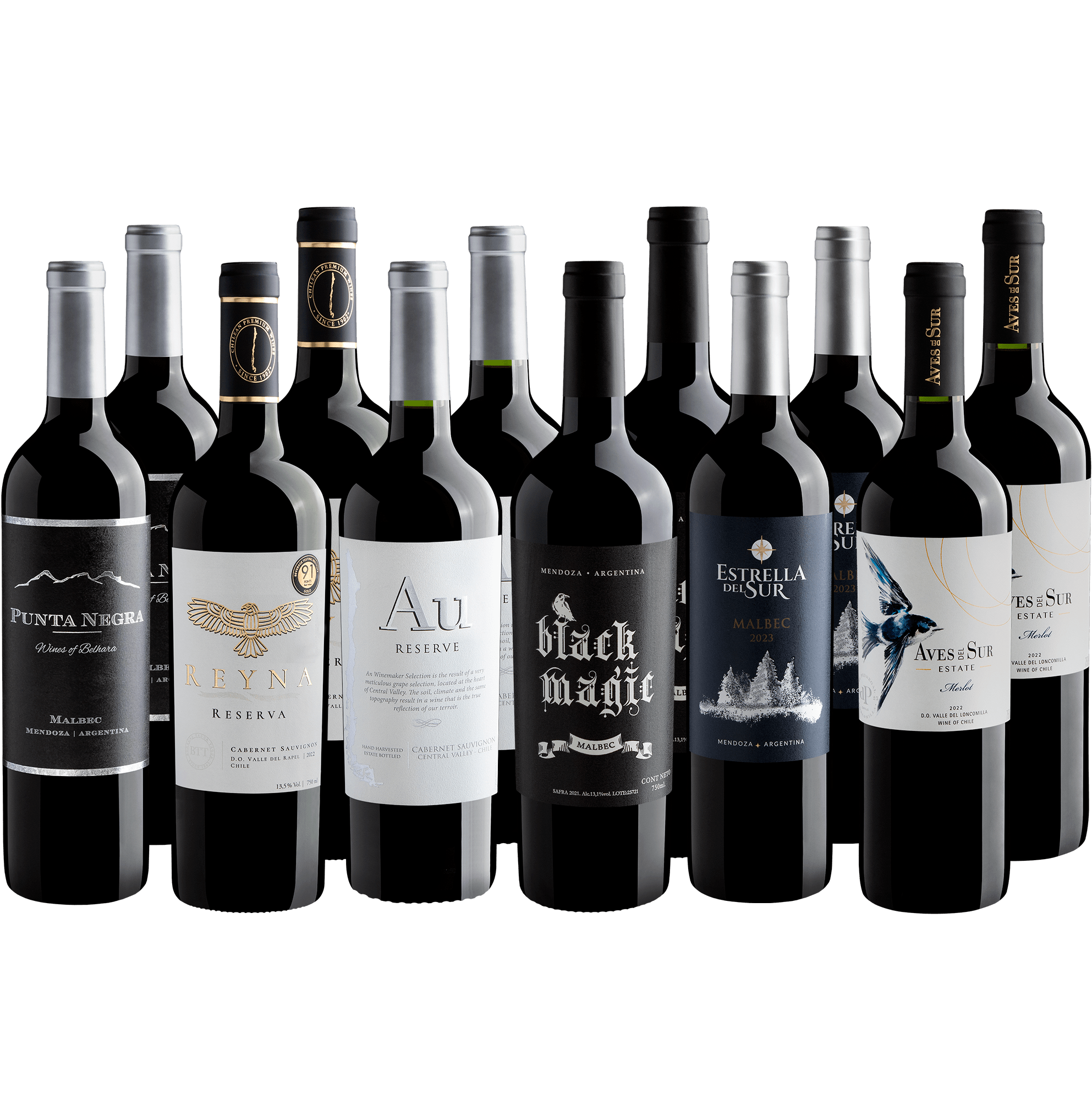 Kit Vinhos do Novo Mundo em dobro | 12 garrafas por R$39,90 cada*