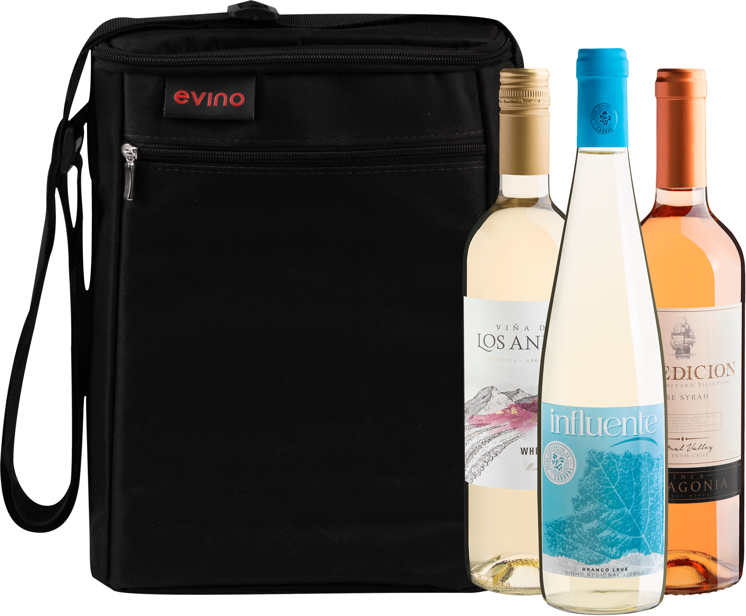 Kit 3 Vinhos Refrescantes + Bolsa Exclusiva por R$119,90
