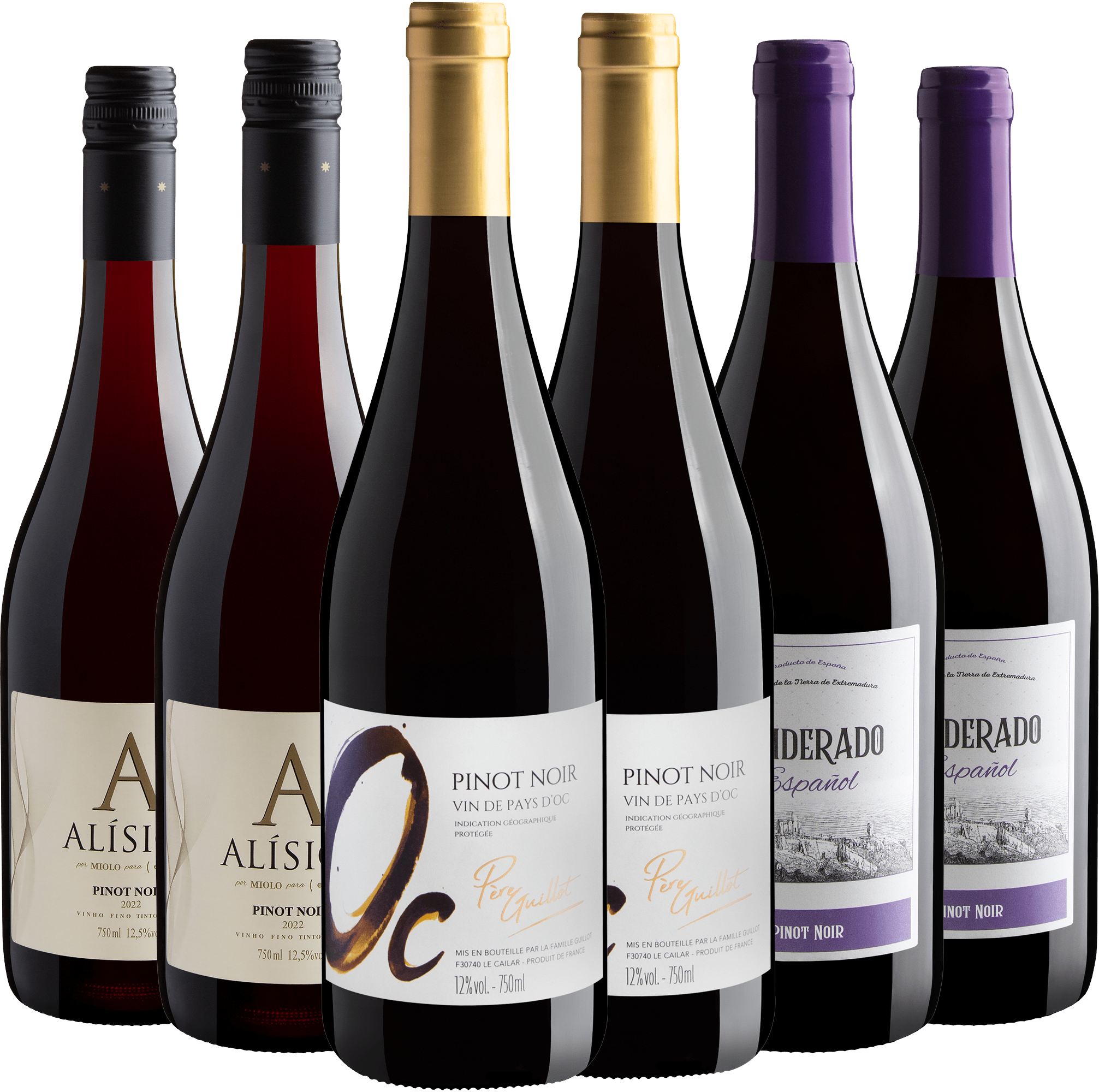 Kit Seleção Pinot Noir | 6 garrafas por R$44,90 cada 