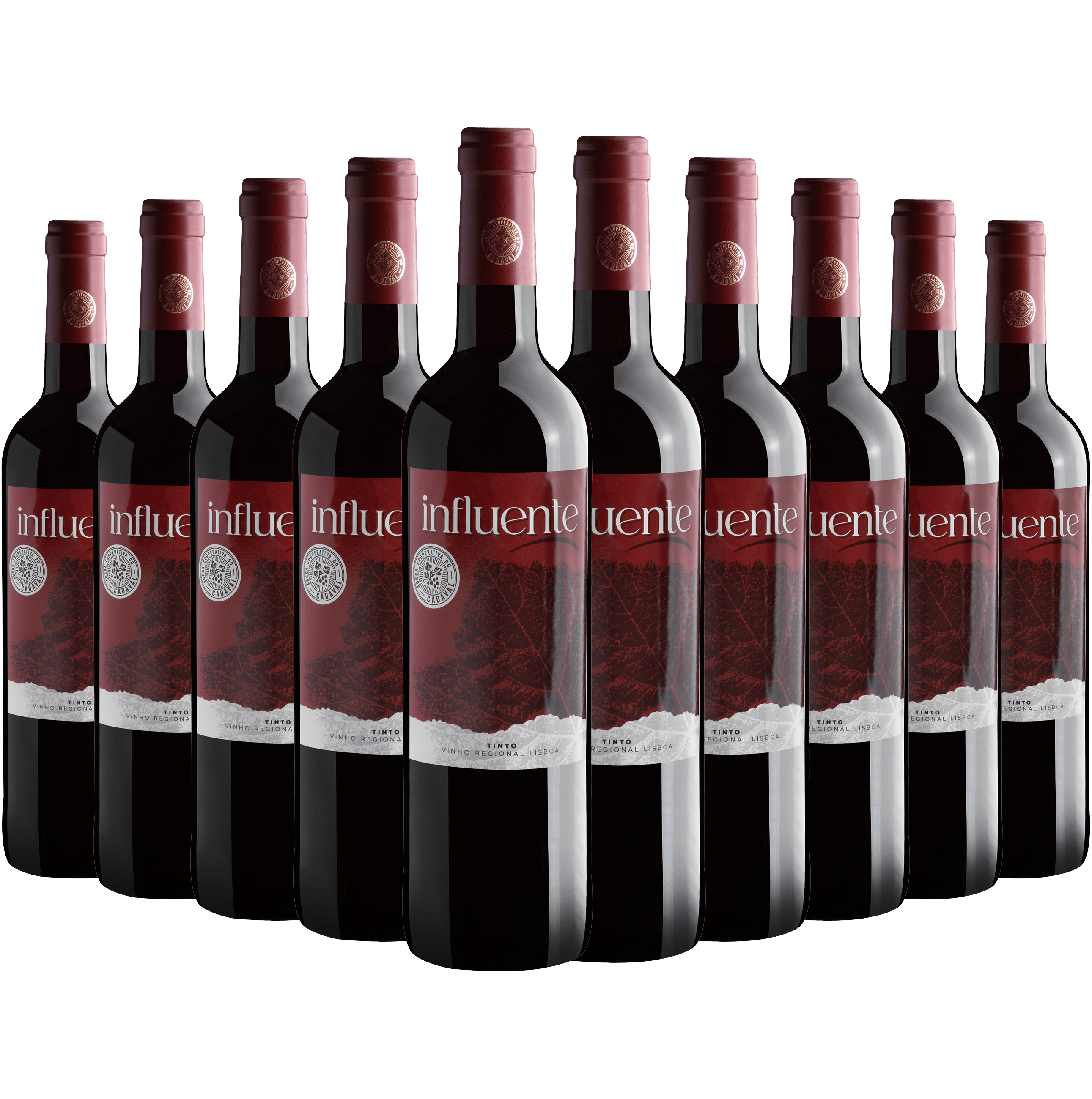 Kit 10 Influente Tinto Vinho Regional Lisboa