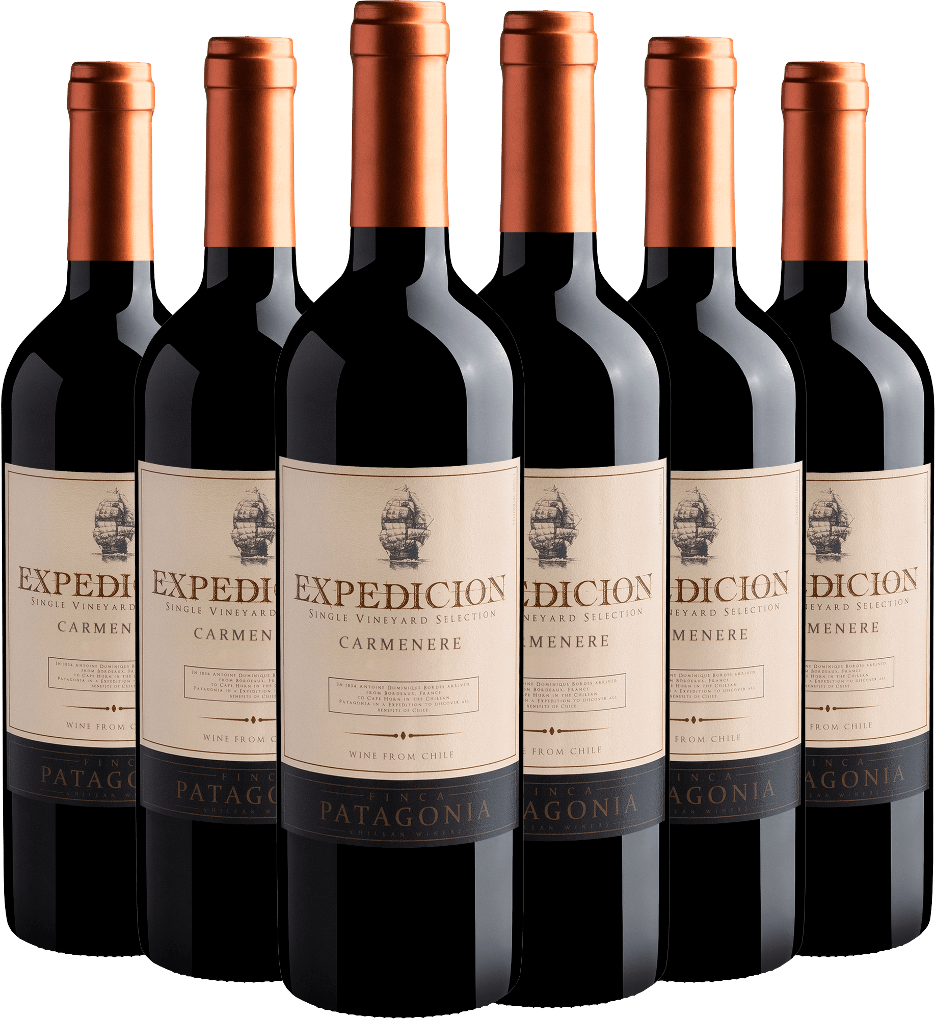 Kit 6 Finca Patagonia Expedicion Single Vineyard Selection Carménère