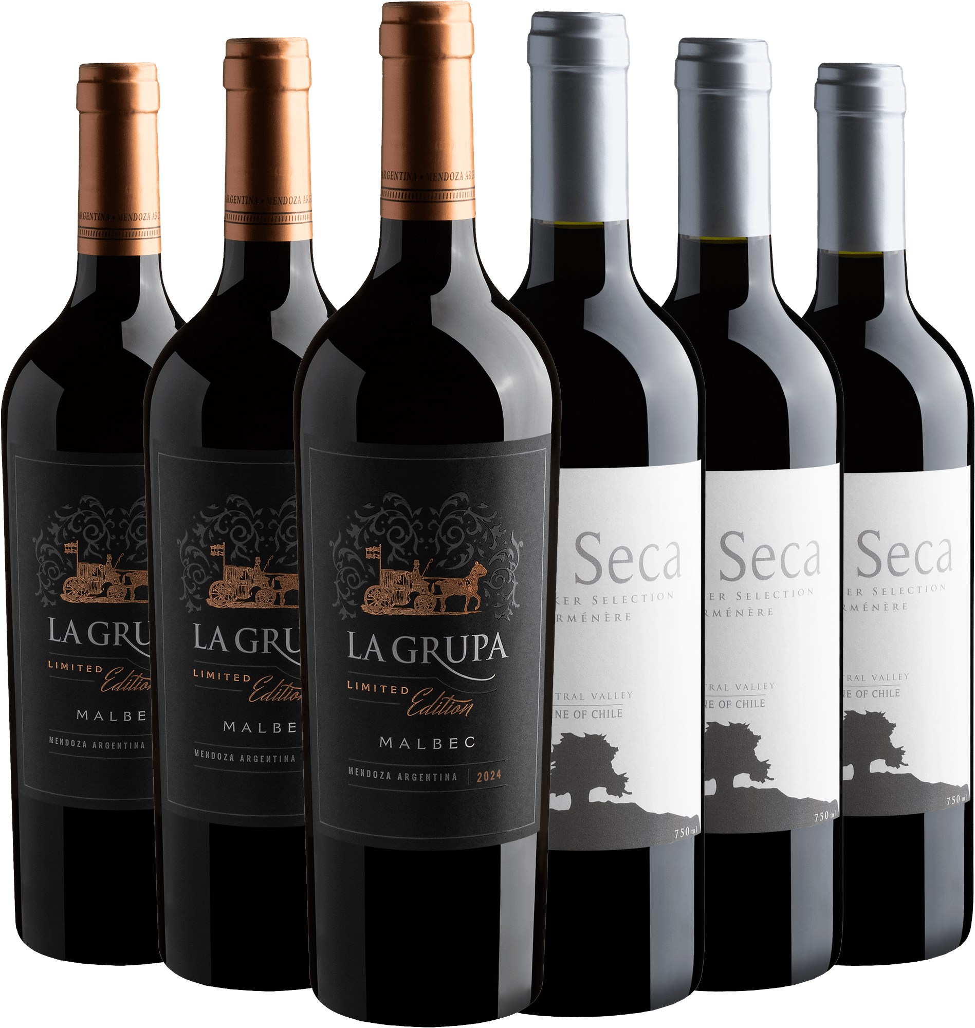 Kit Malbec + Carménère | 6 garrafas por R$29,90 cada