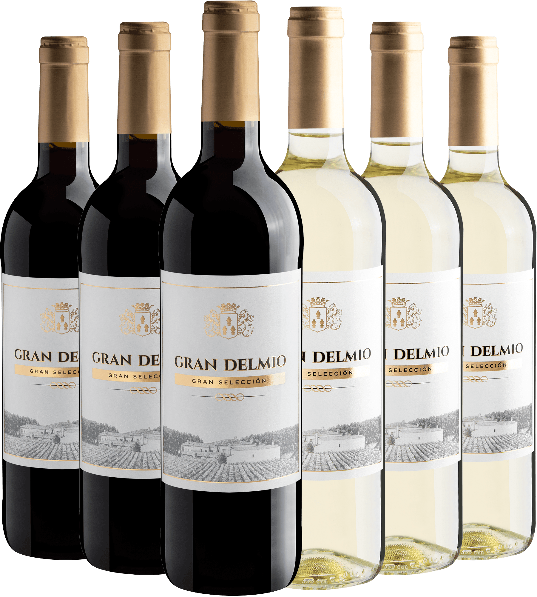Kit Gran Delmio Gran Selección | 3 Tinto + 3 Blanco por R$26,90 cada garrafa