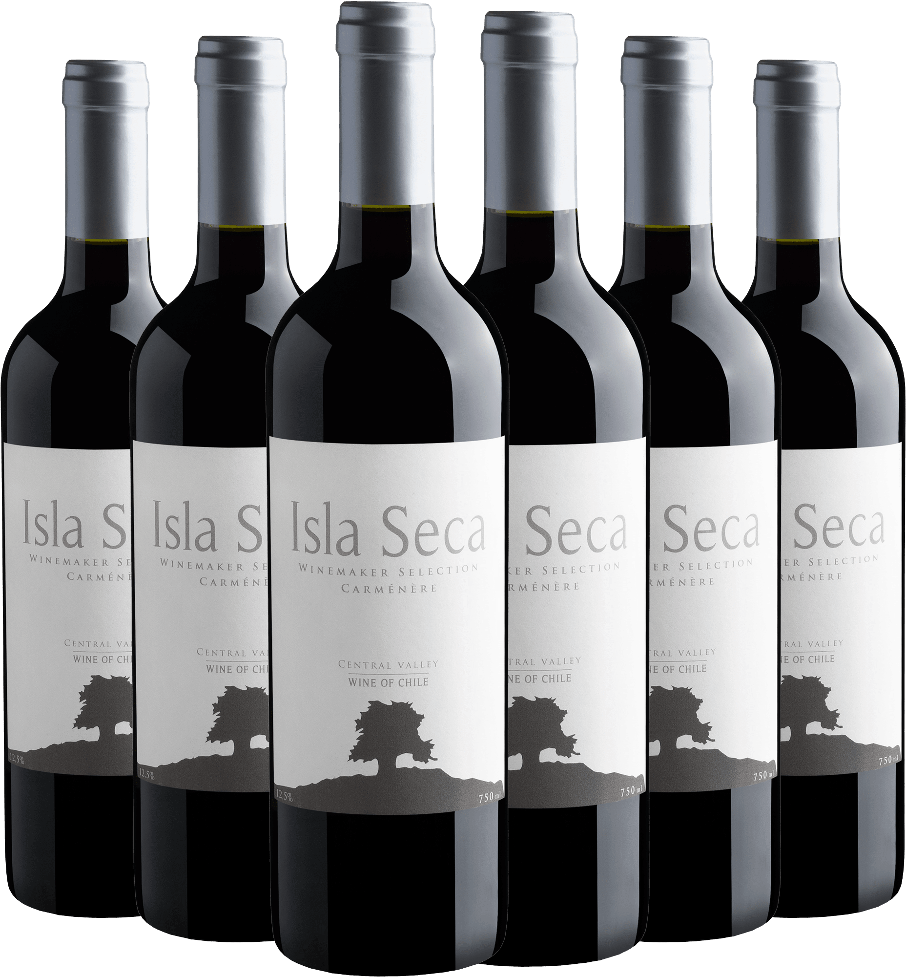 Kit 6 Isla Seca Winemaker Selection Carménère Central Valley D.O. 
