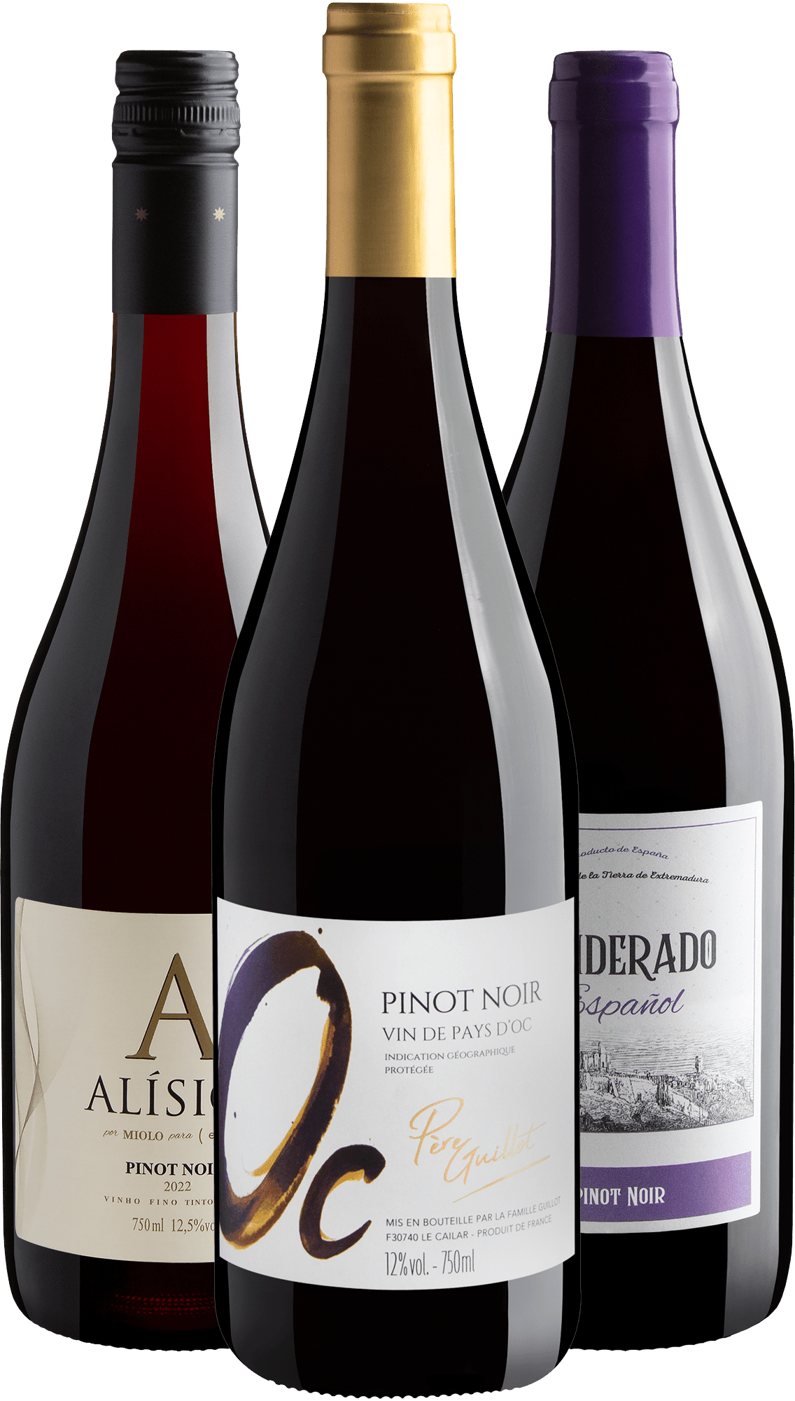 Kit Seleção Pinot Noir | 3 garrafas por R$44,90 cada
