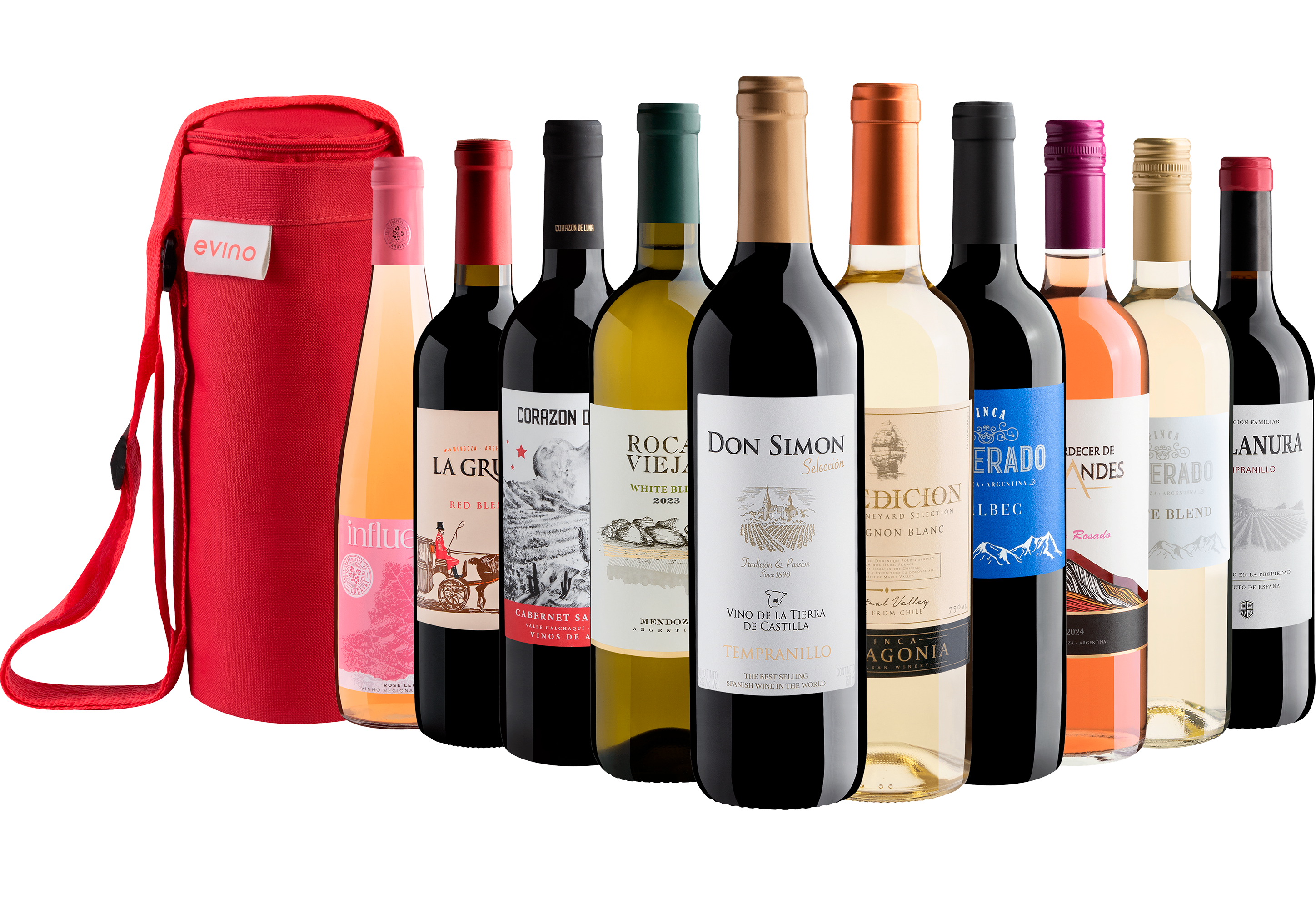 Kit 10 Vinhos + Bolsa Exclusiva 
