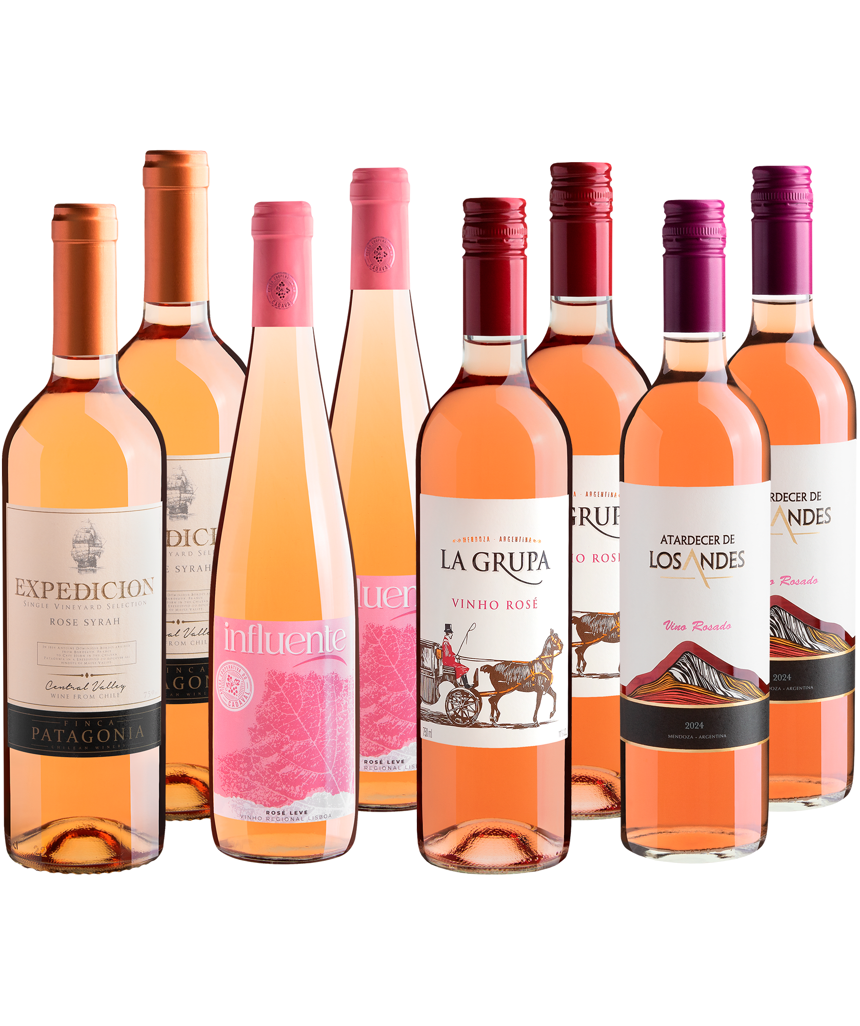 Kit Rosés em Dobro | 8 garrafas por R$27,90 cada 