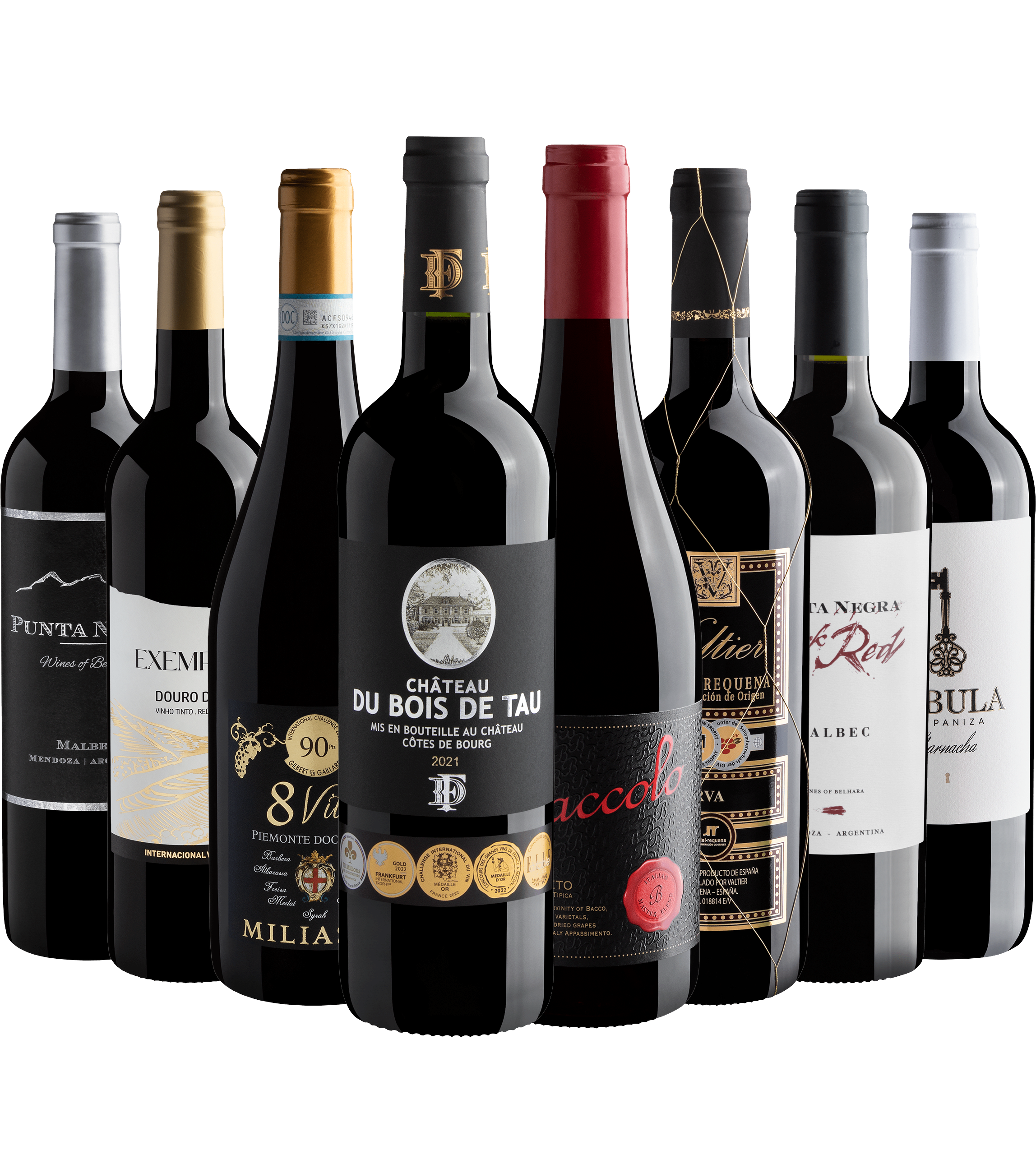 Kit Leão | 8 garrafas por R$49,90 cada