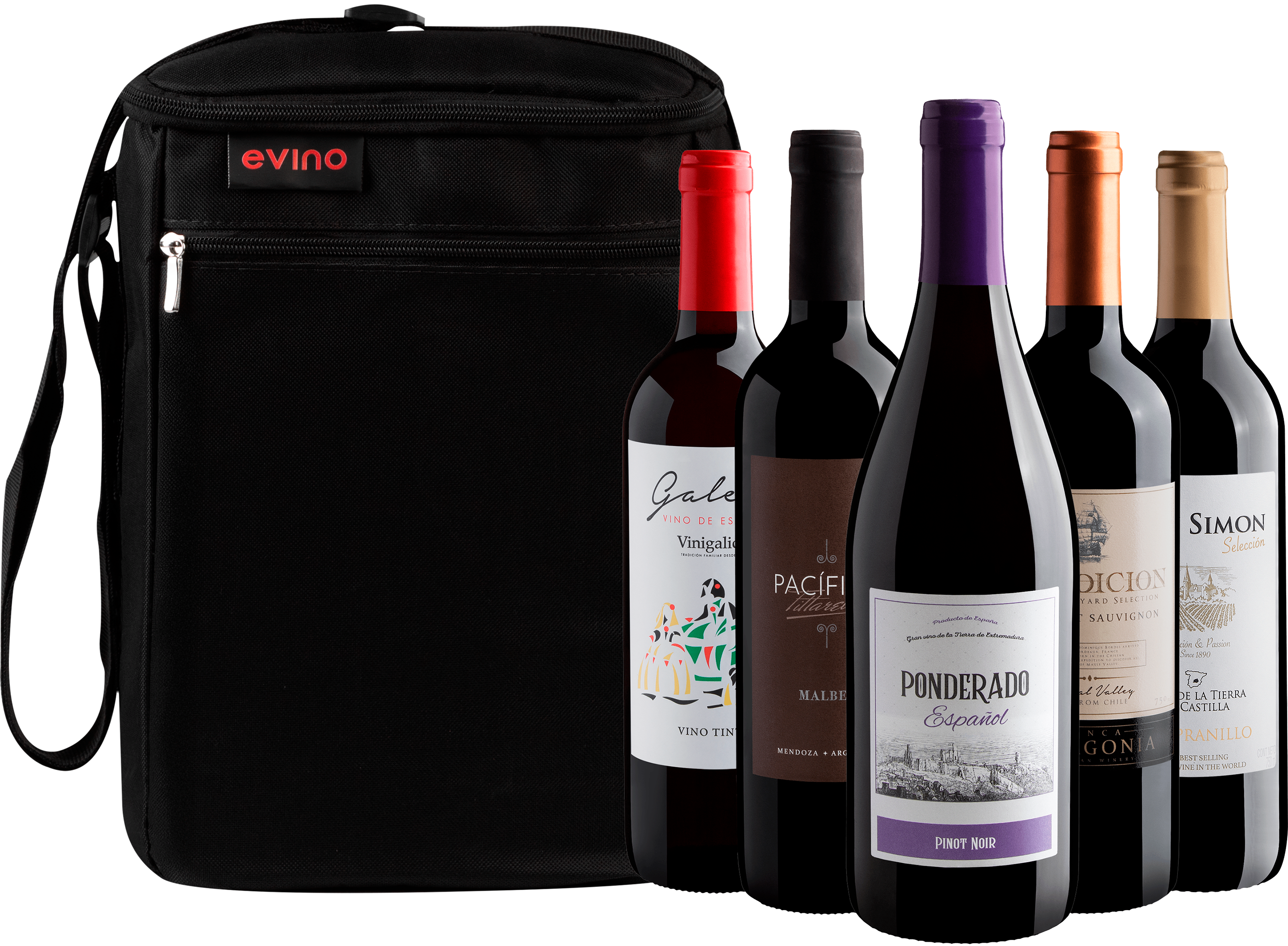 Kit 5 Vinhos Tintos + Bolsa Exclusiva