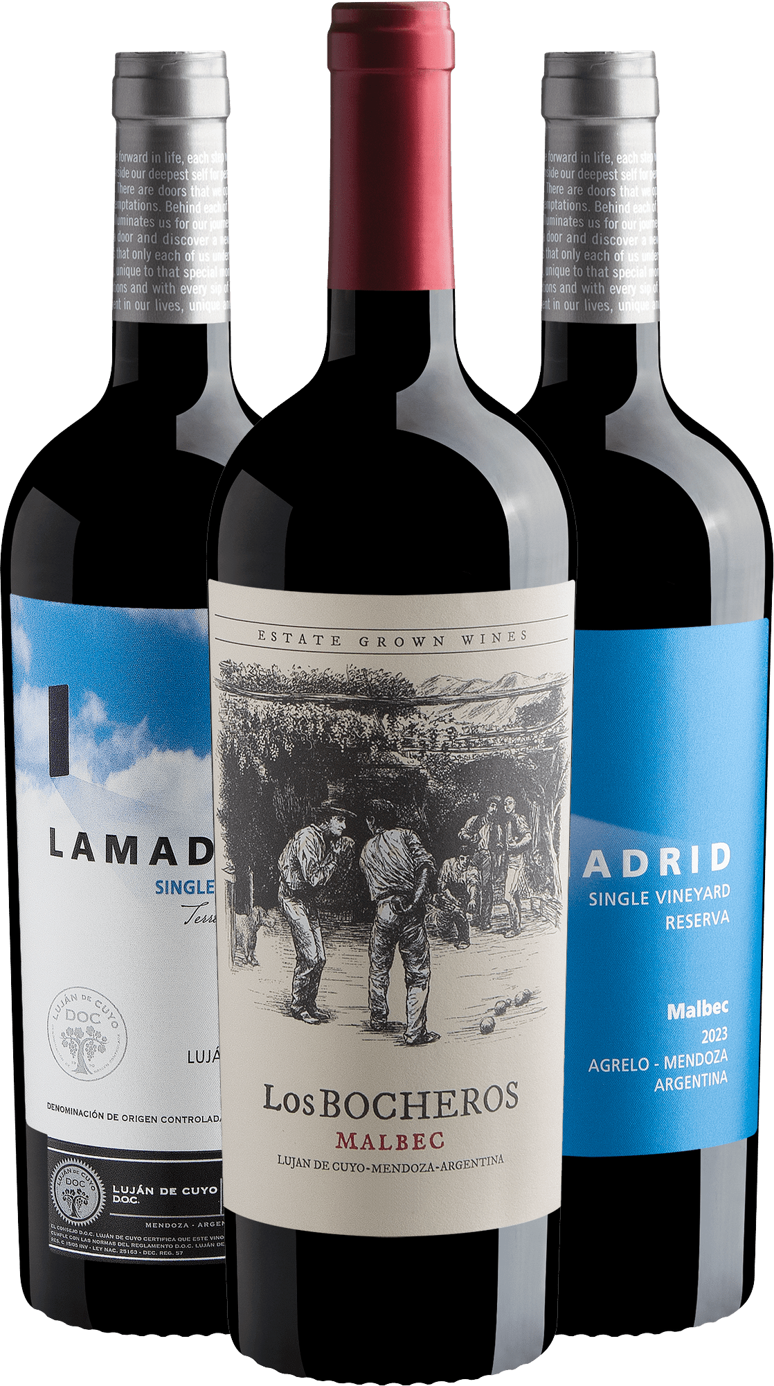 Kit 3 Vinhos Seleção Lamadrid