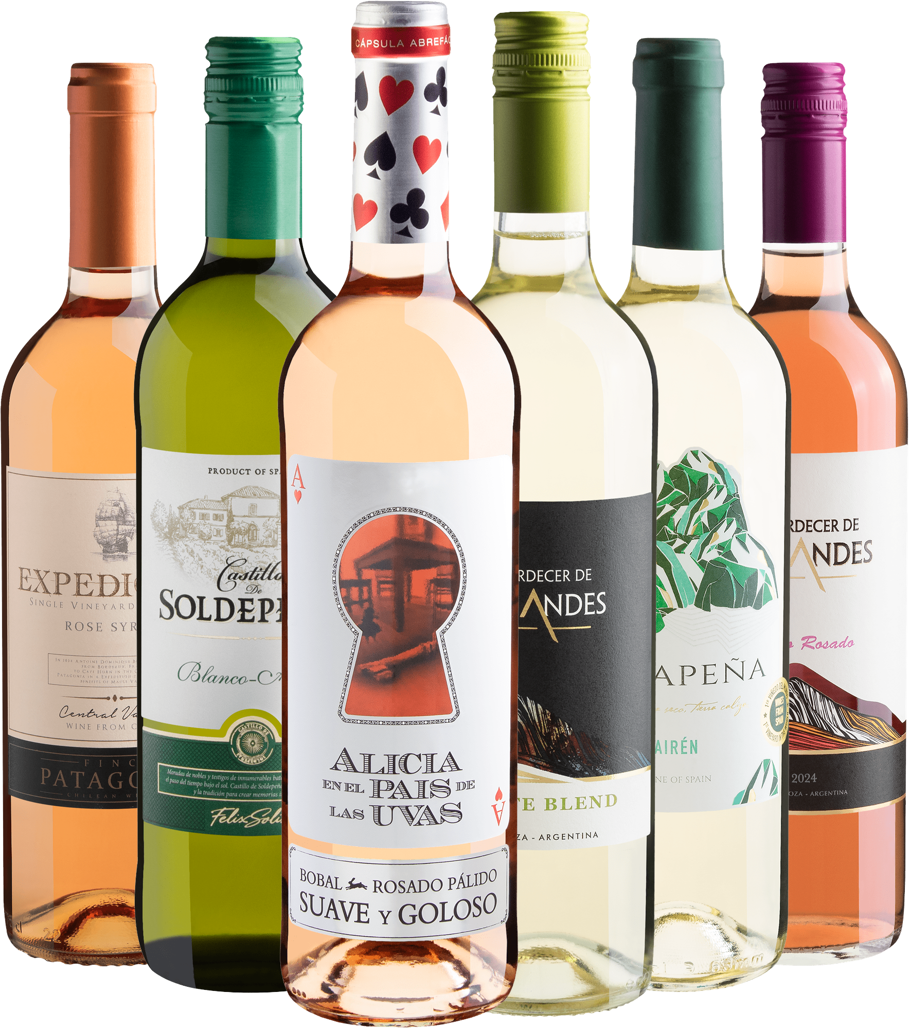 Kit 6 Vinhos Refrescantes com Alicia Rosado | R$29,90 cada garrafa