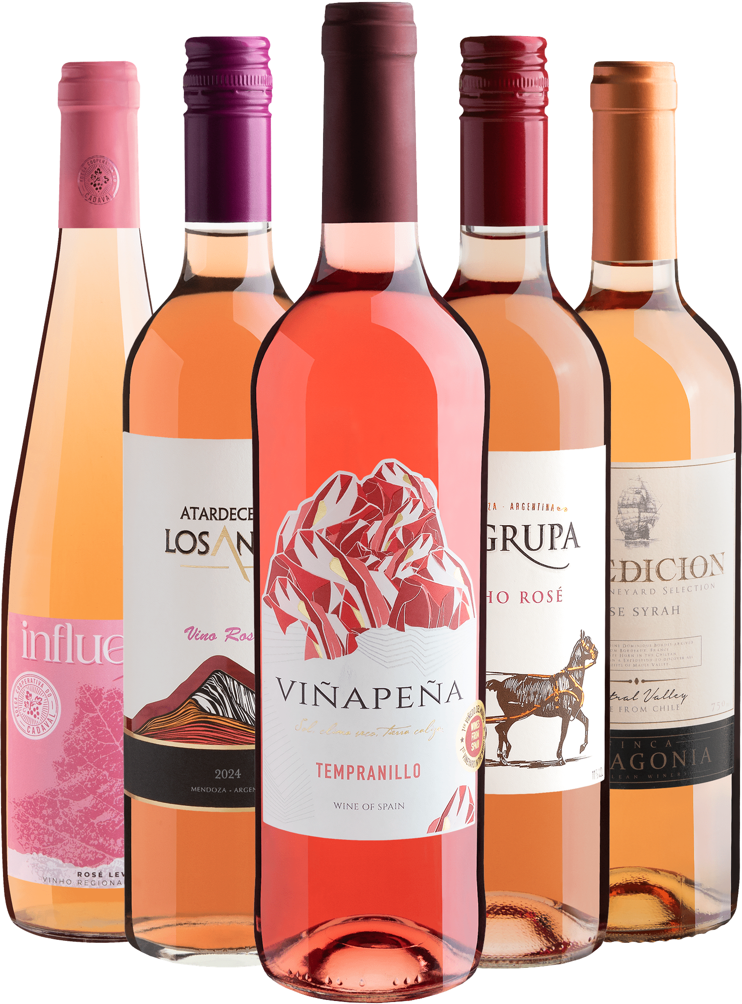 Kit 5 Rosés Best Sellers por R$27,90 cada garrafa 