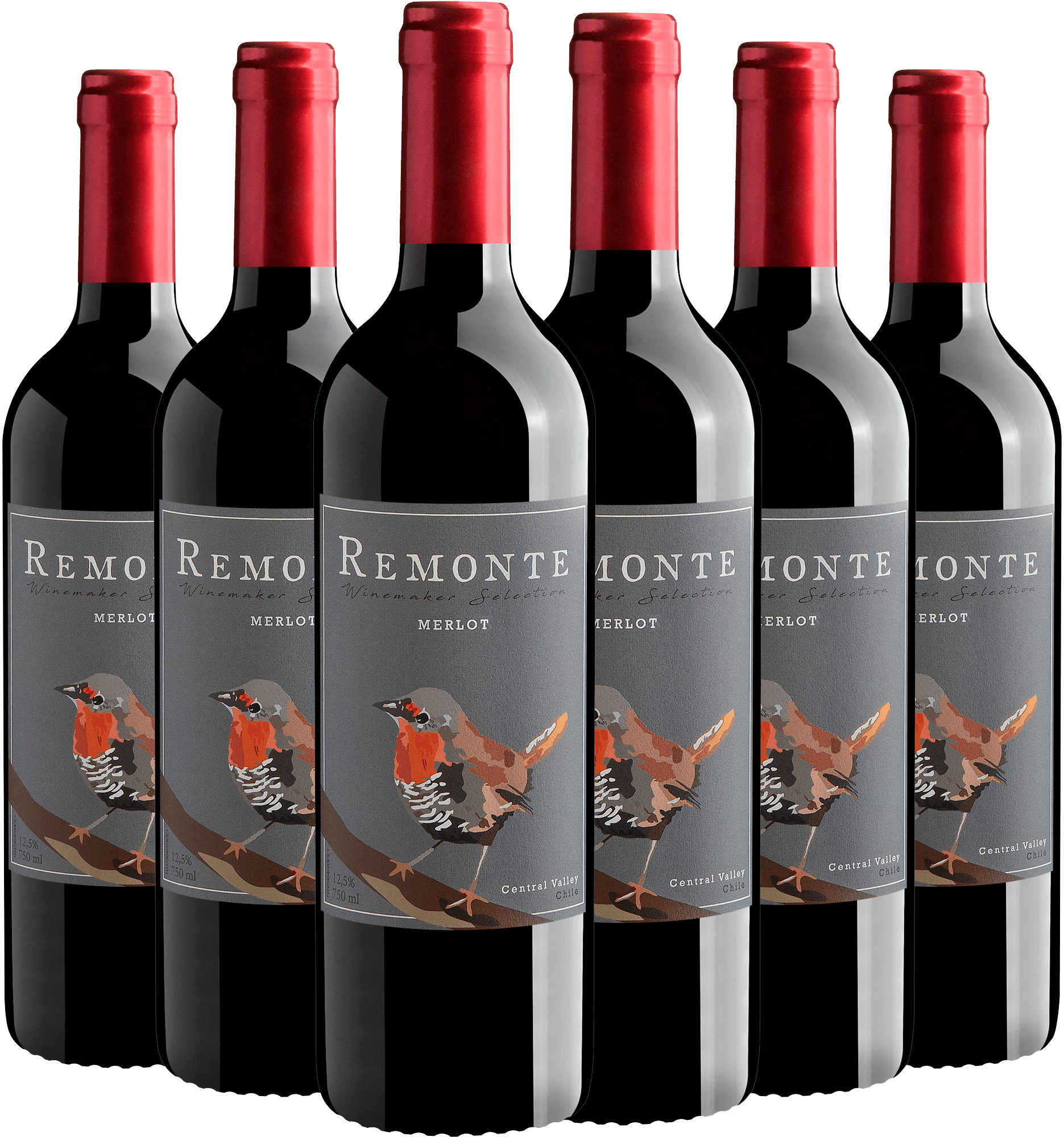 Kit 6 Remonte Winemaker Selection Merlot