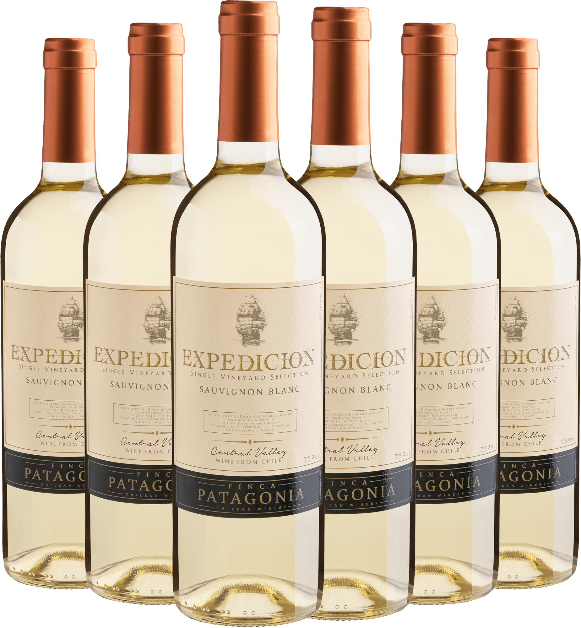 Kit 6 Finca Patagonia Expedicion Single Vineyard Selection Sauvignon Blanc Central Valley D.O. por R$28,90 cada garrafa 