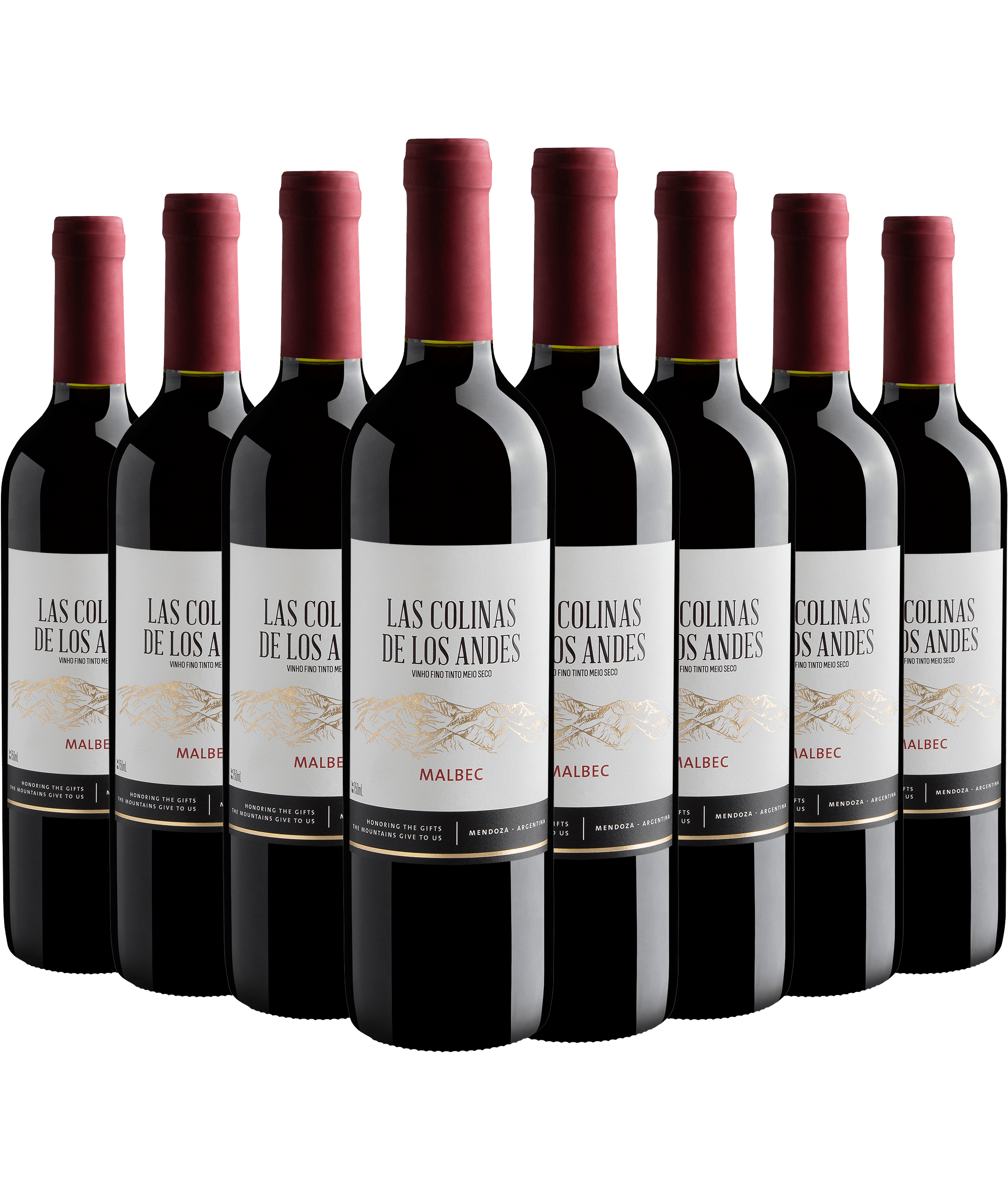 Kit 8 Las Colinas de Los Andes Malbec por R$27,90 cada garrafa*