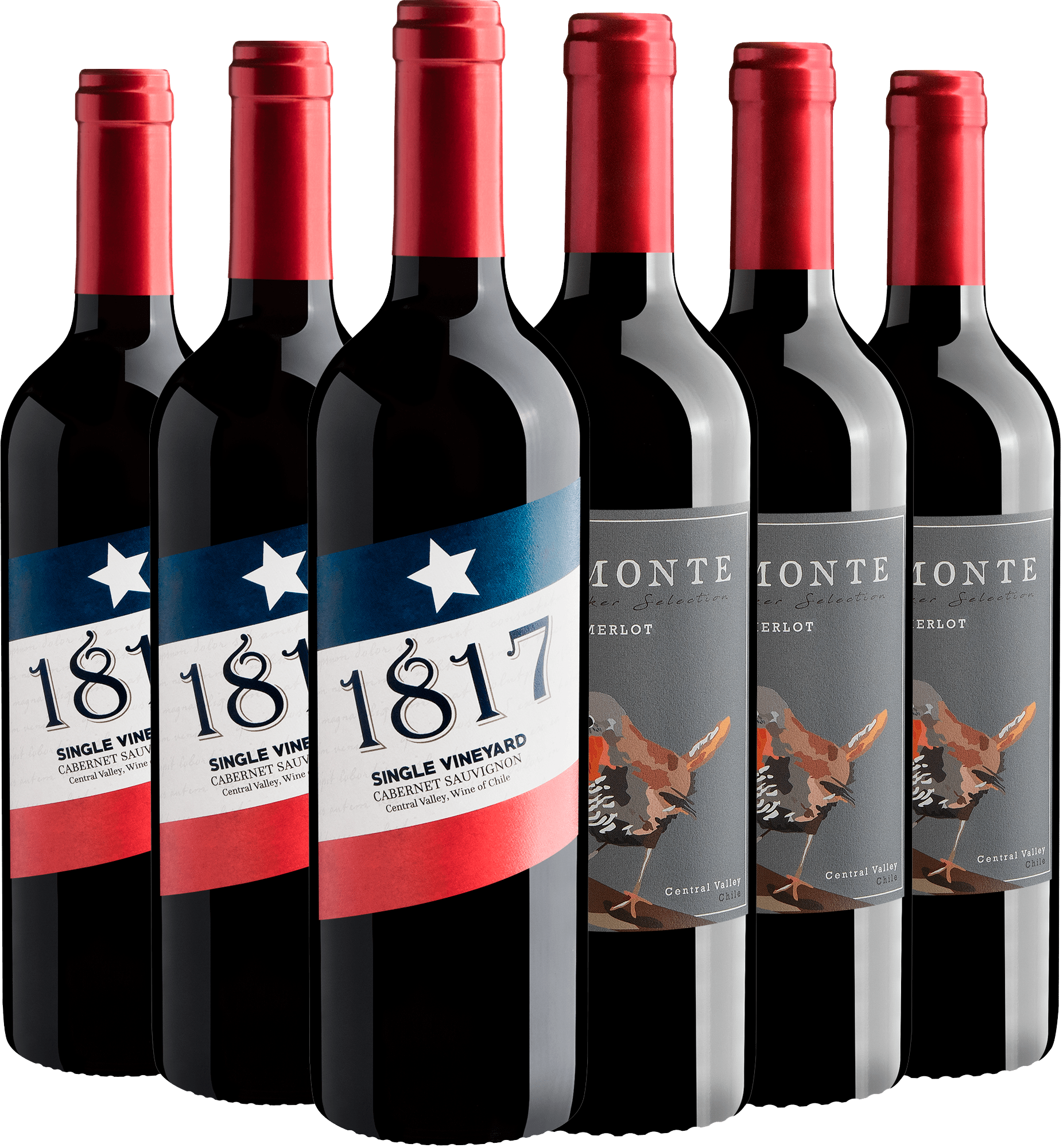 Kit 3 Cabernet Sauvignon + 3 Merlot por R$28,90 cada garrafa