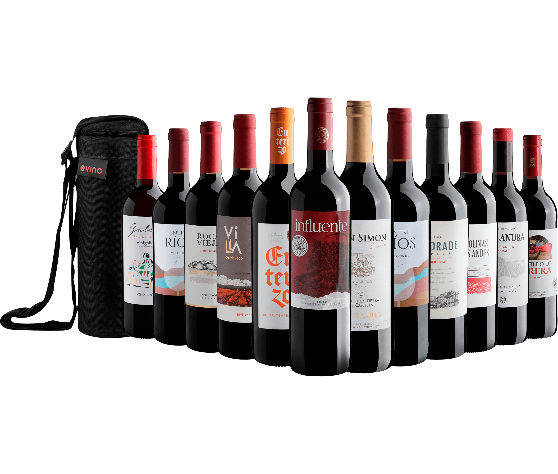 Kit 12 Vinhos Tintos + Bolsa Exclusiva Grátis 