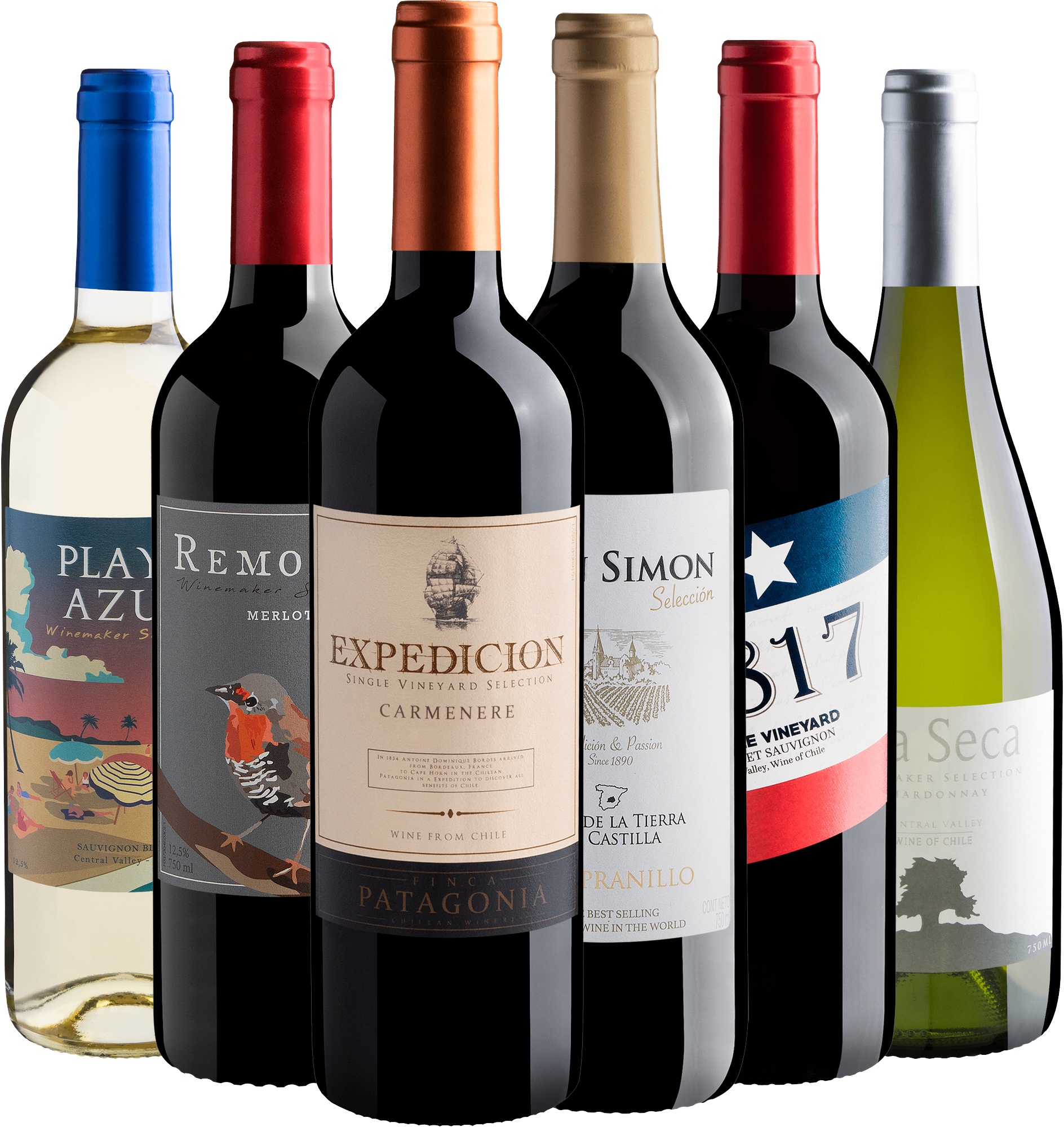 Kit Uvas Icônicas | 6 garrafas por R$27,90 cada 