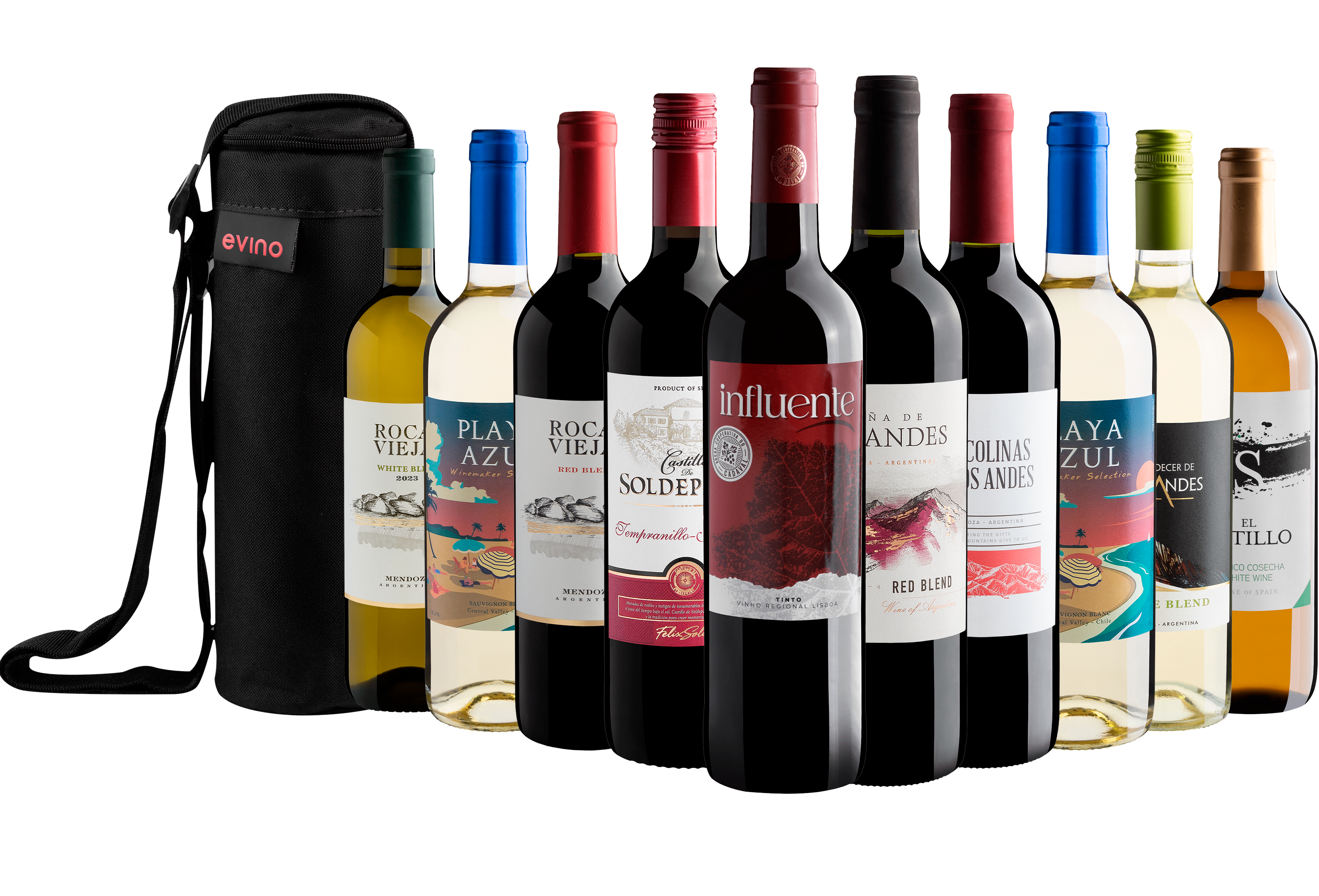 Kit 10 Vinhos por R$29,90 cada garrafa + Bolsa Exclusiva