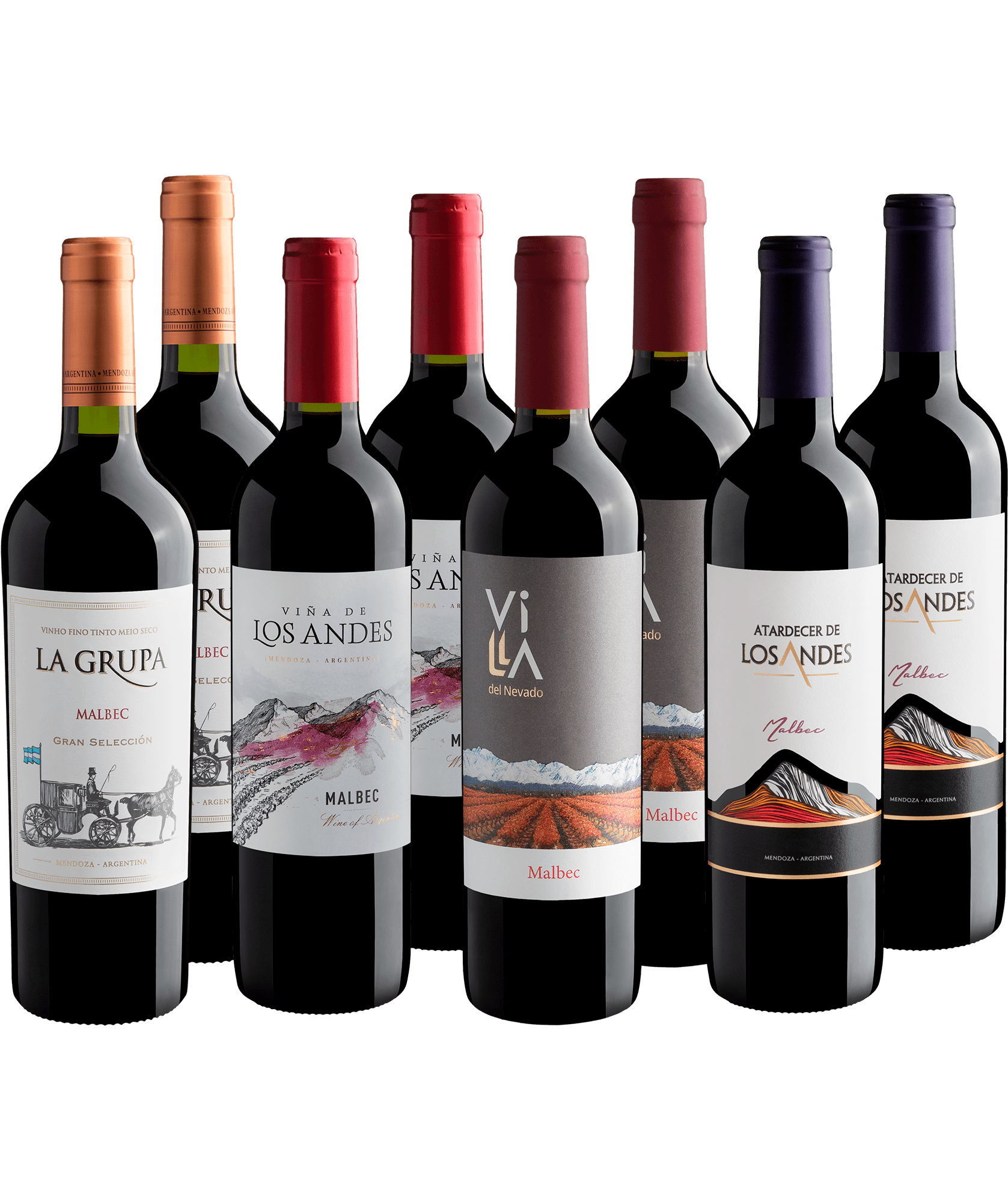 Kit Malbecs Em Dobro | 8 garrafas por R$29,90 cada