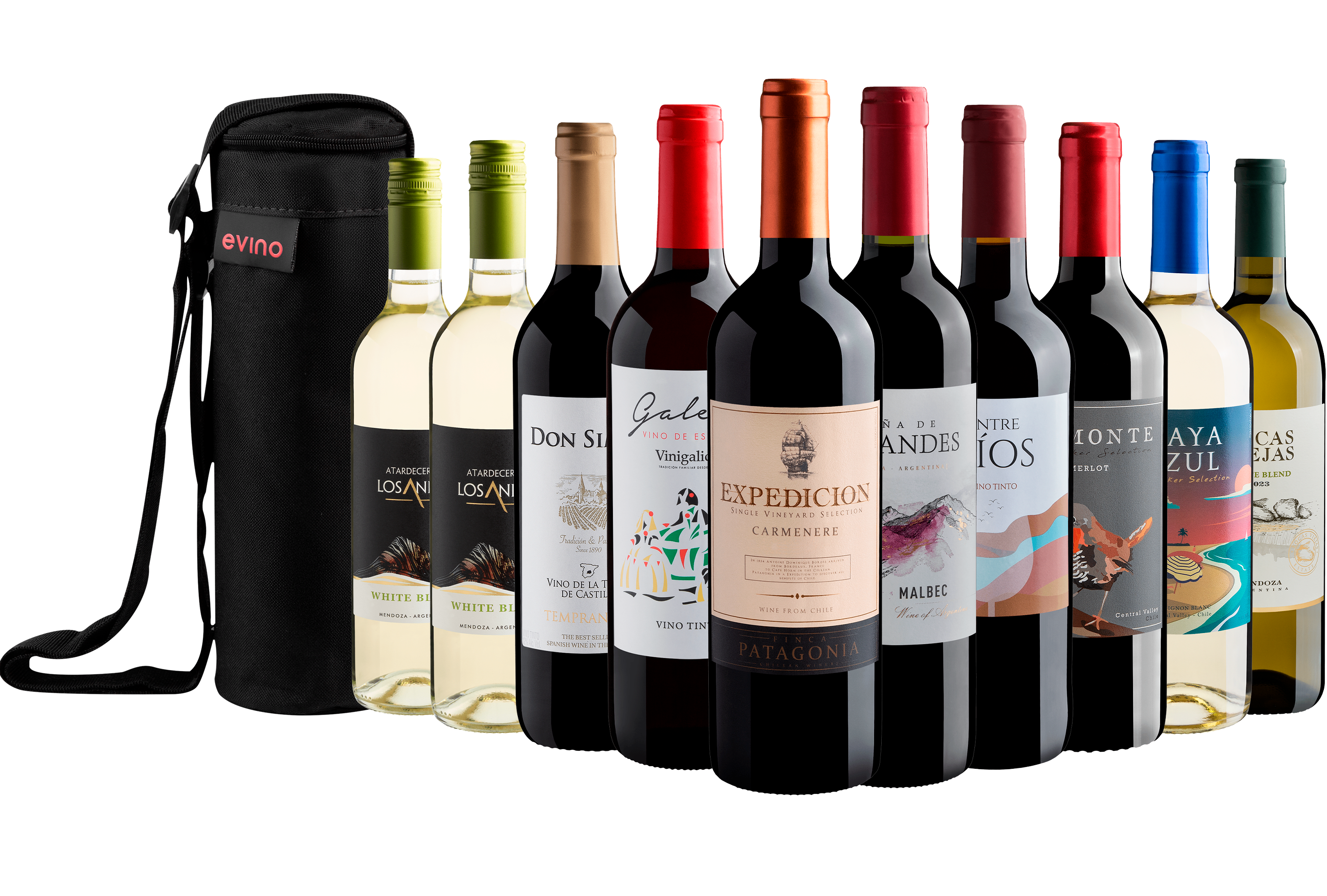 Kit 10 vinhos por R$29,90 cada garrafa + Bolsa Exclusiva Grátis