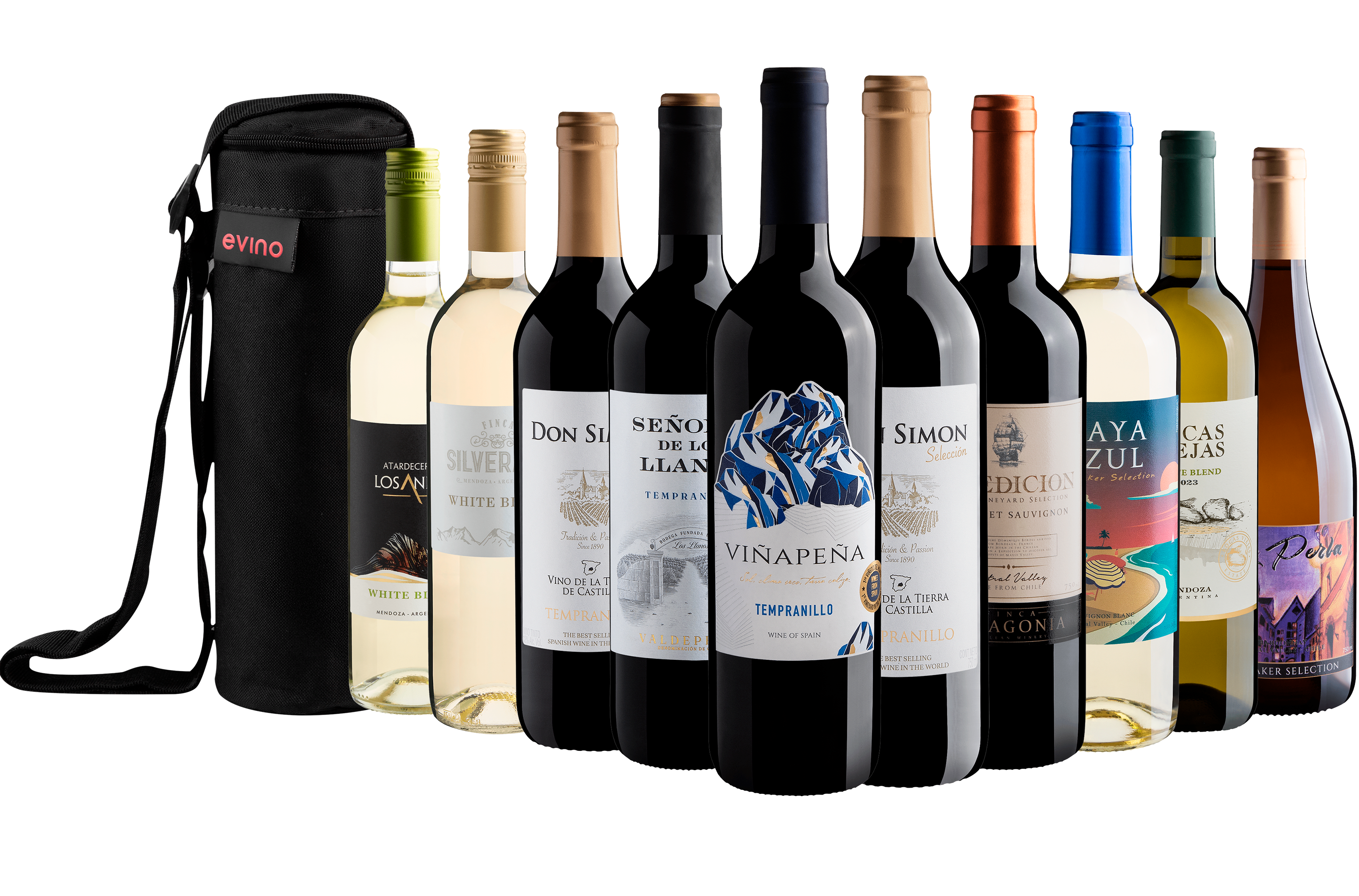 Kit 10 Vinhos por R$29,90 cada garrafa + Bolsa Exclusiva Grátis