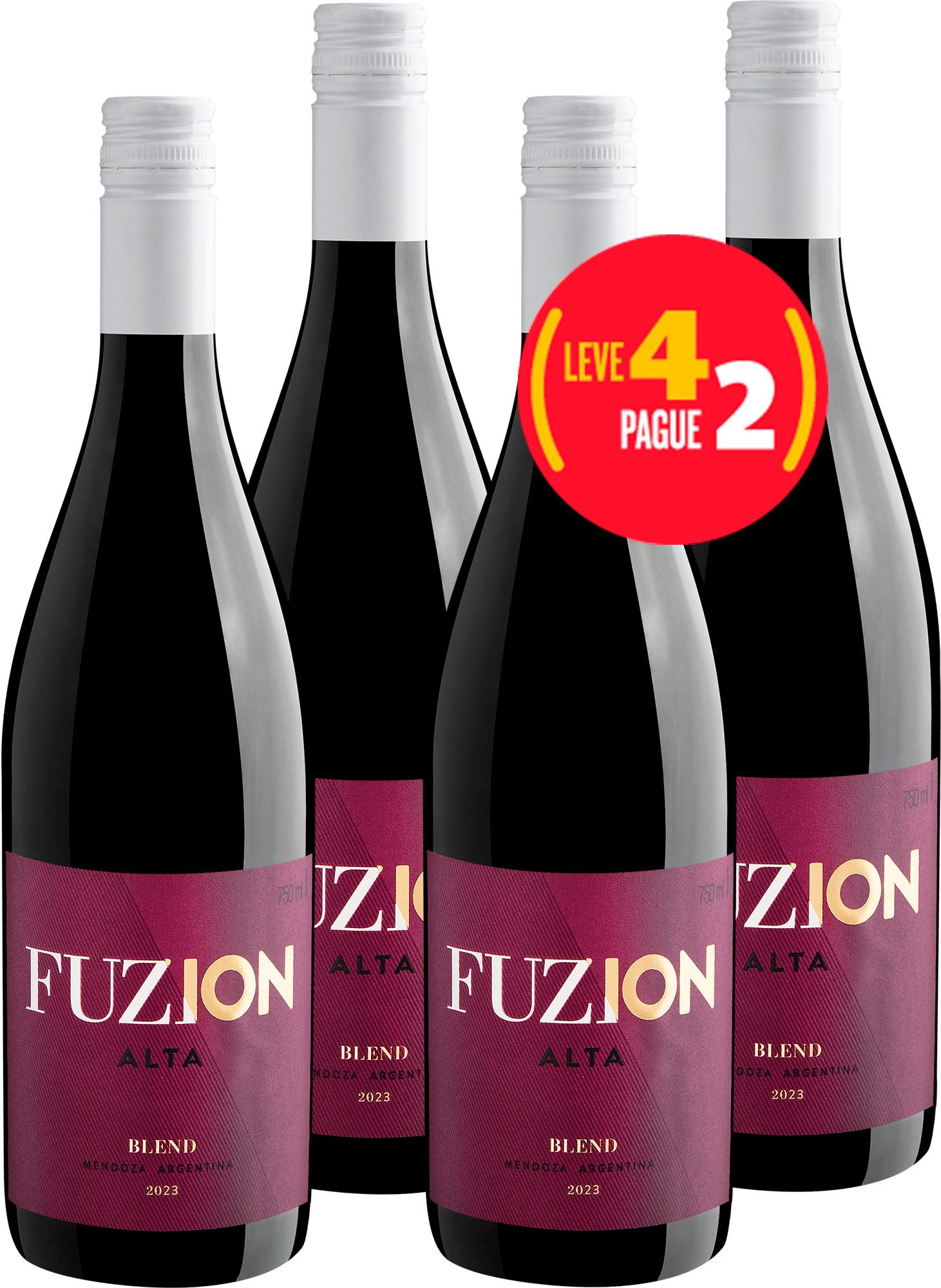 Kit Leve 4 Pague 2 Fuzion Alta Blend