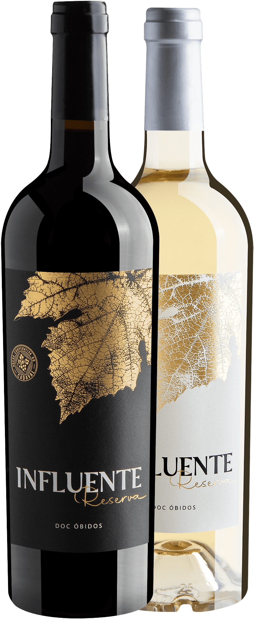 Kit Influente Reserva | 1 Tinto + 1 Branco por R$99,90 cada garrafa 