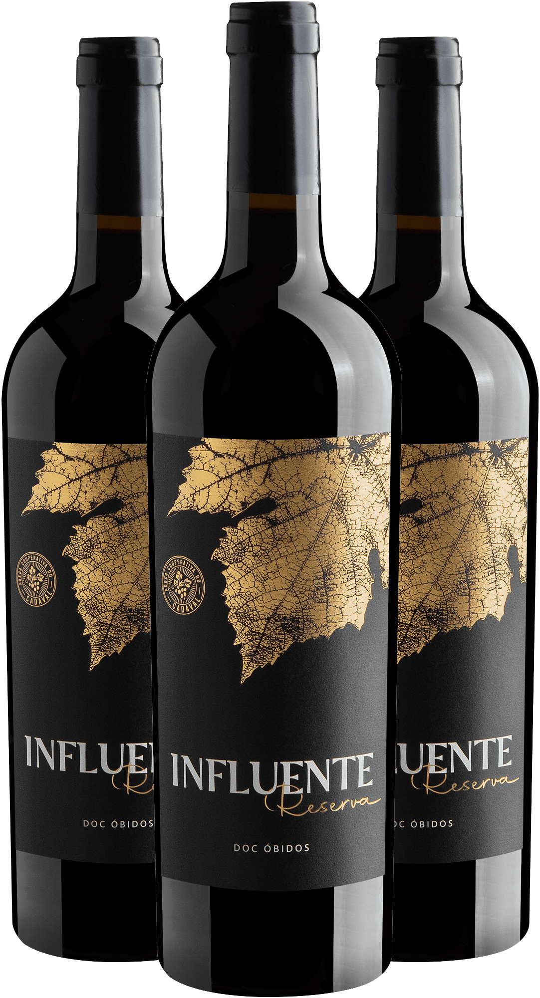 Kit 3 Influente Reserva Tinto Óbidos DOC por R$79,90 cada