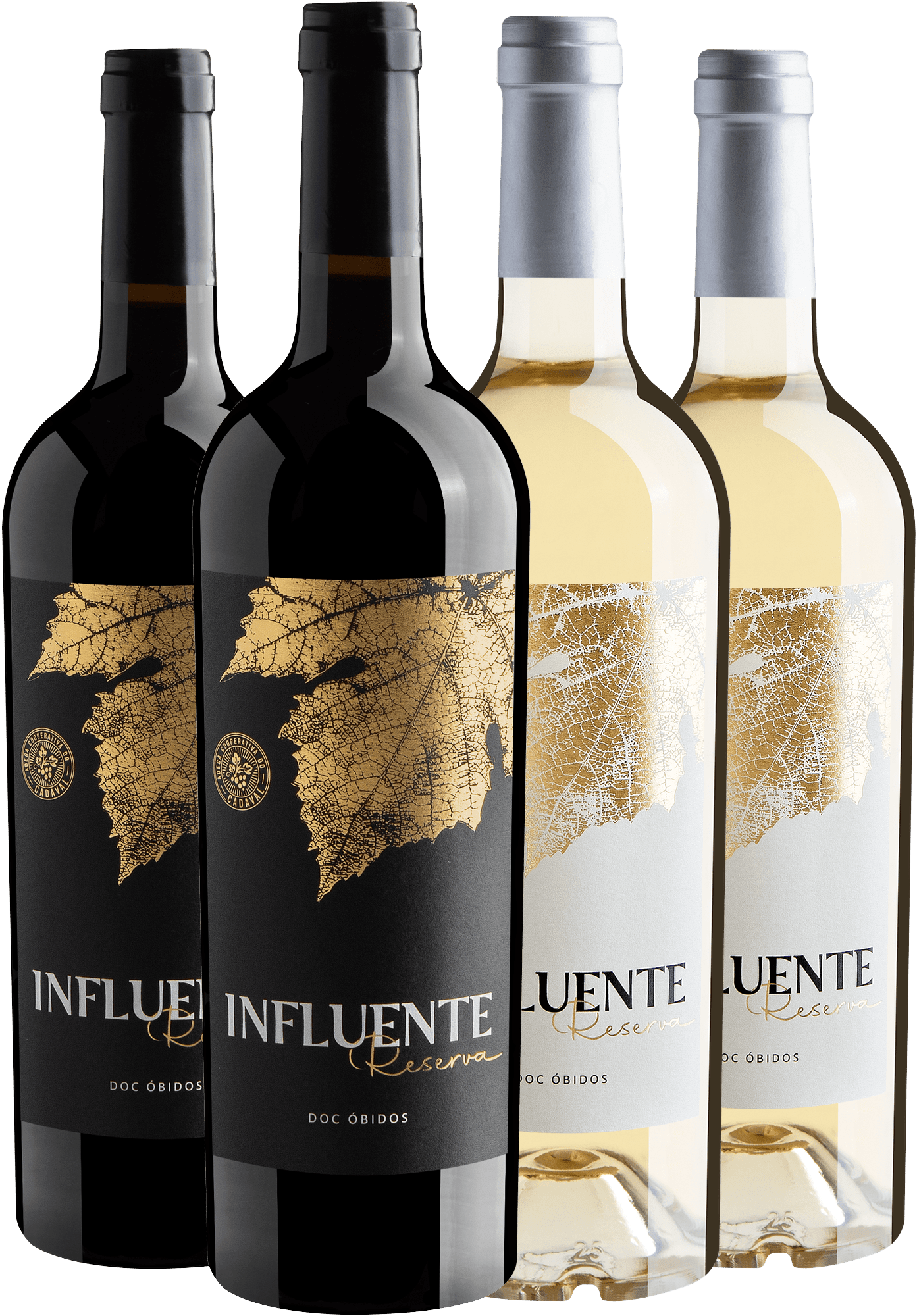 Kit Influente Reserva | 2 Tinto + 2 Branco por R$79,90 cada 