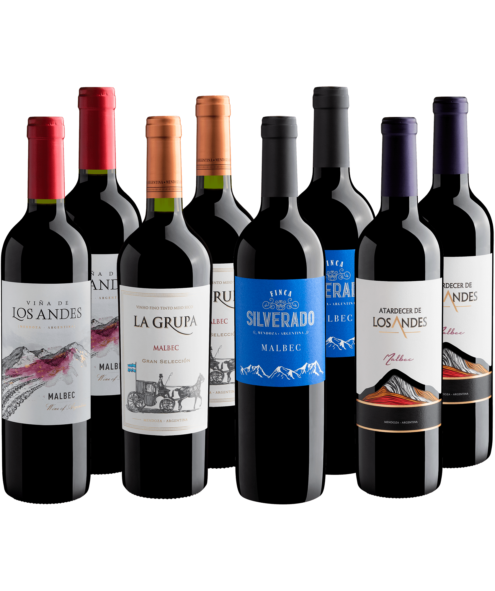 Kit Malbecs em Dobro | 8 garrafas por R$29,90 cada