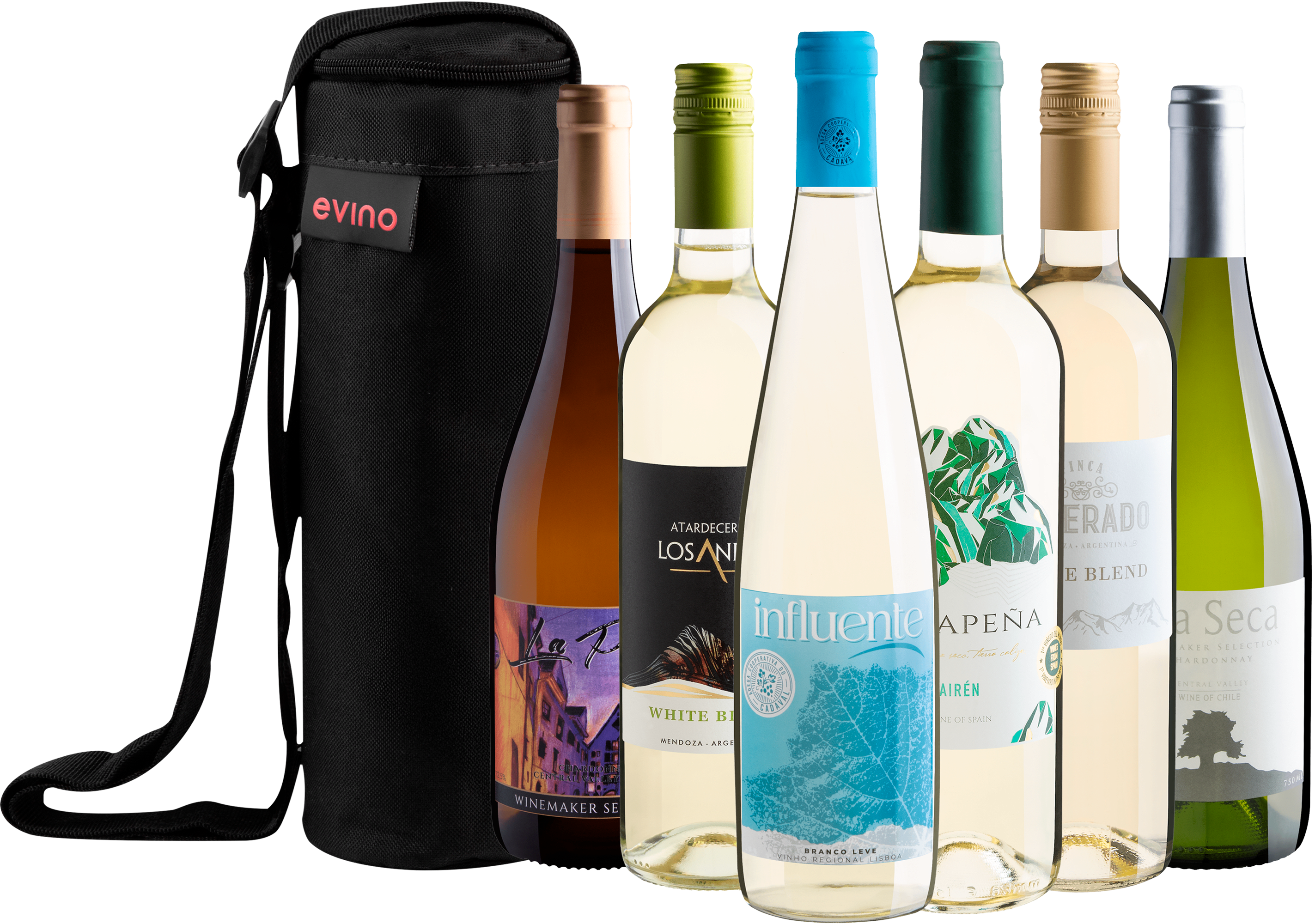 Kit 6 Vinhos Brancos Best Sellers + Bolsa Grátis