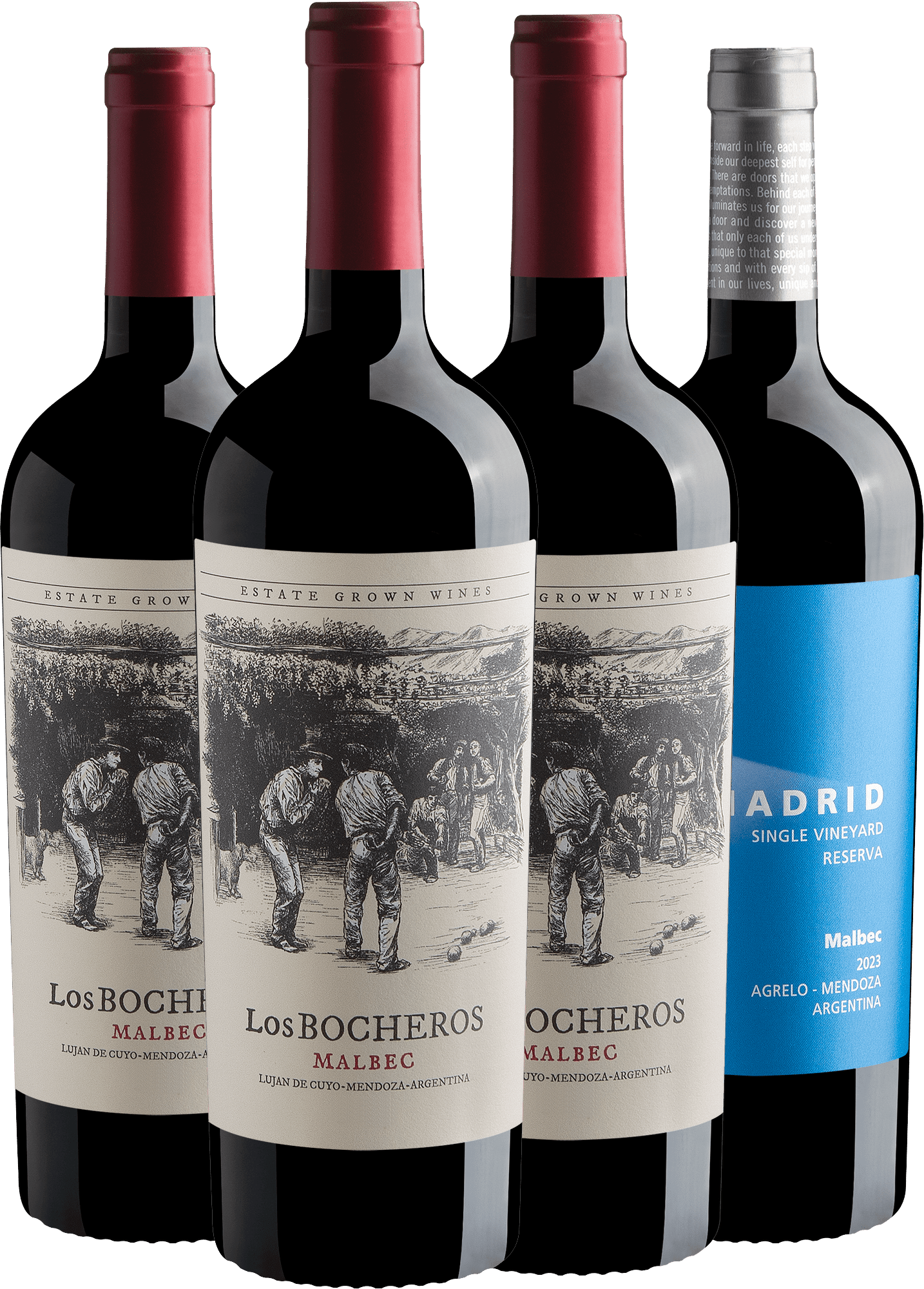 Kit 3 Los Bocheros + 1 Lamadrid Single Vineyard Reserva 