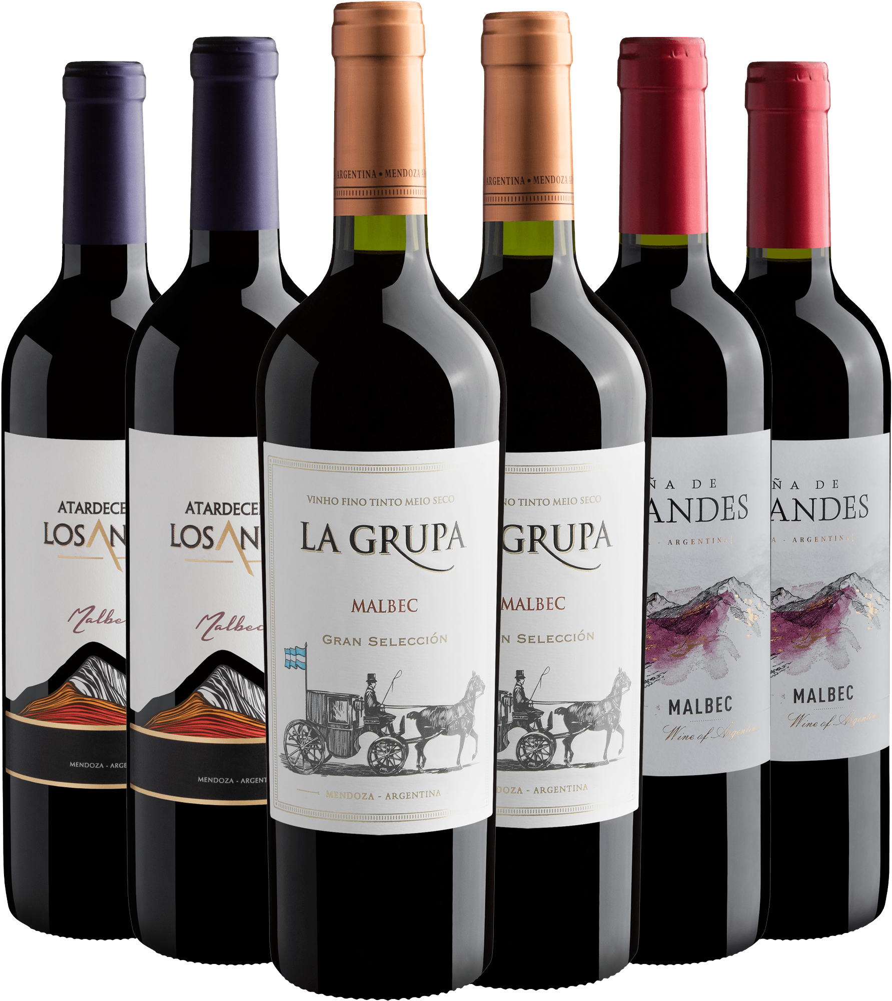 Kit 6 Malbecs por R$27,90 cada garrafa*