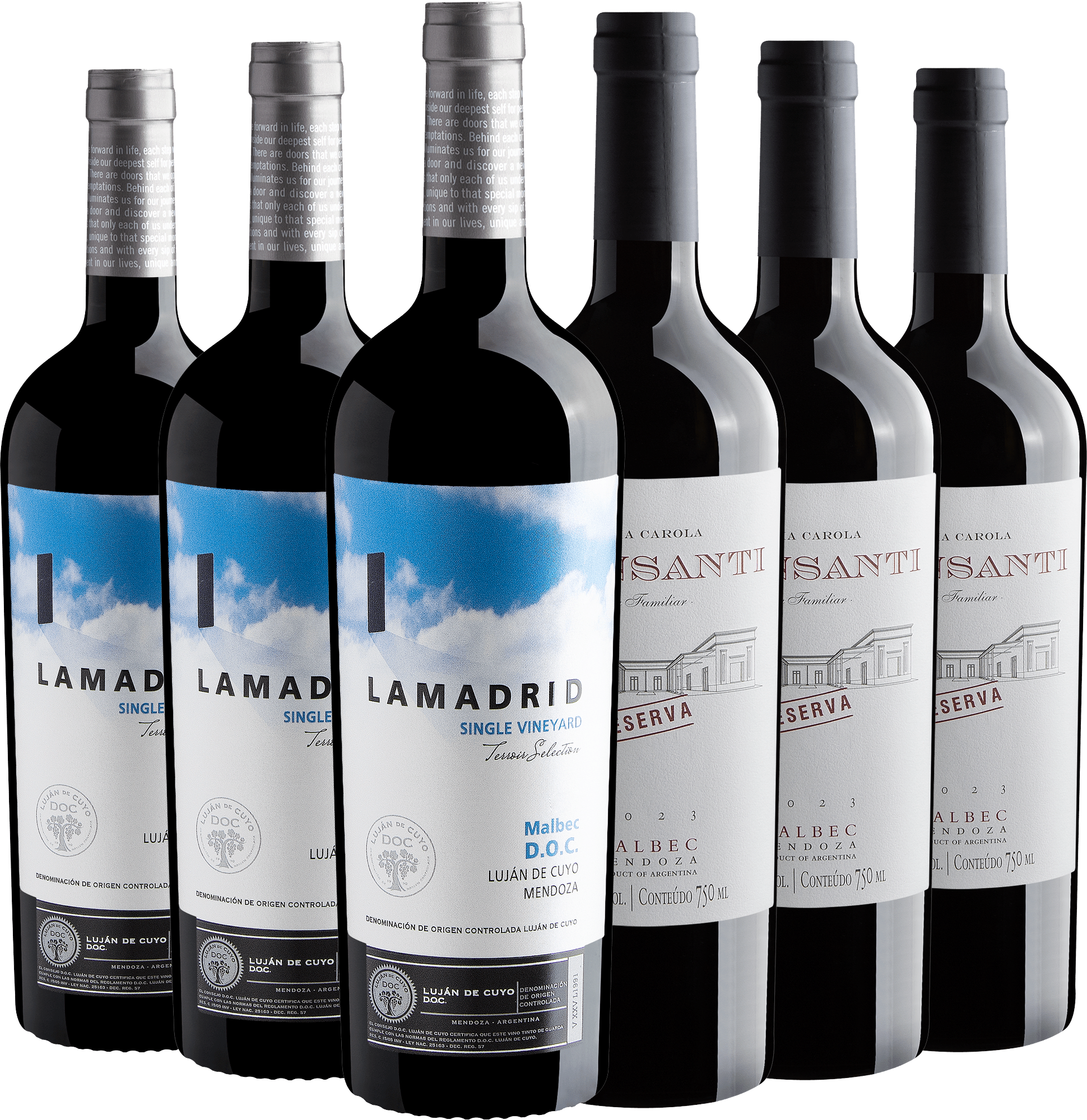 Kit Malbecs Renomados | 3 Palma Carola + 3 Lamadrid por R$79,90 cada garrafa 