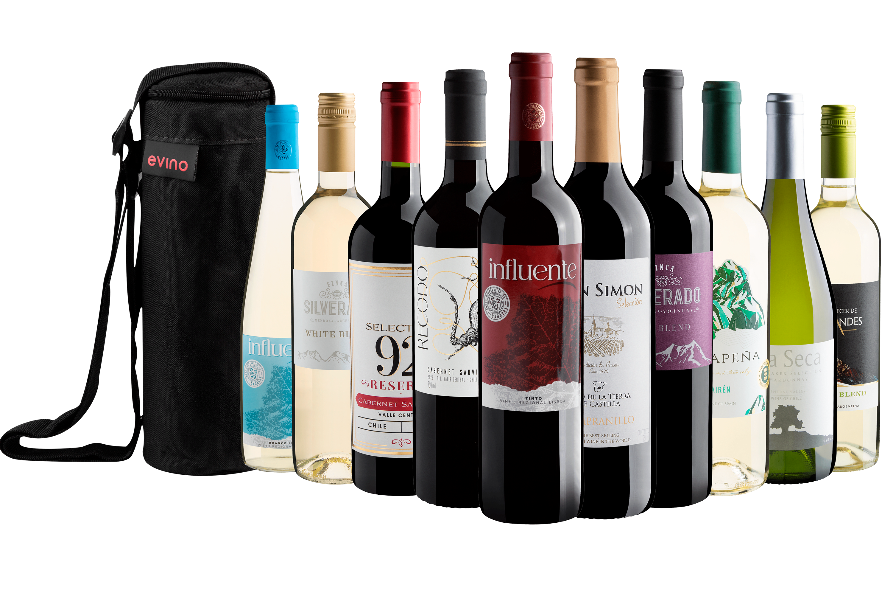 Kit 10 Vinhos com Bolsa Exclusiva