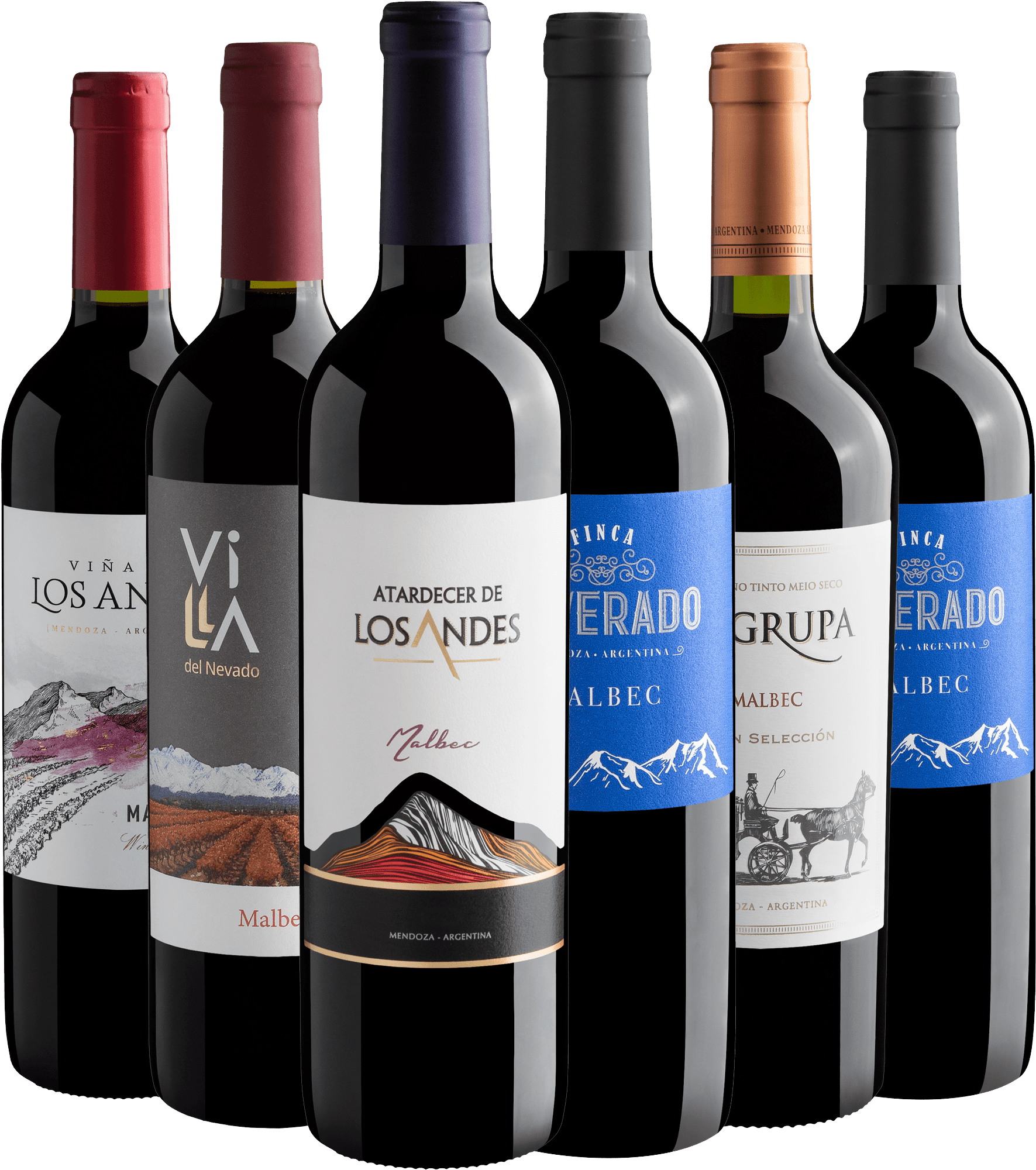 Kit 6 Malbecs por R$32,90 cada garrafa