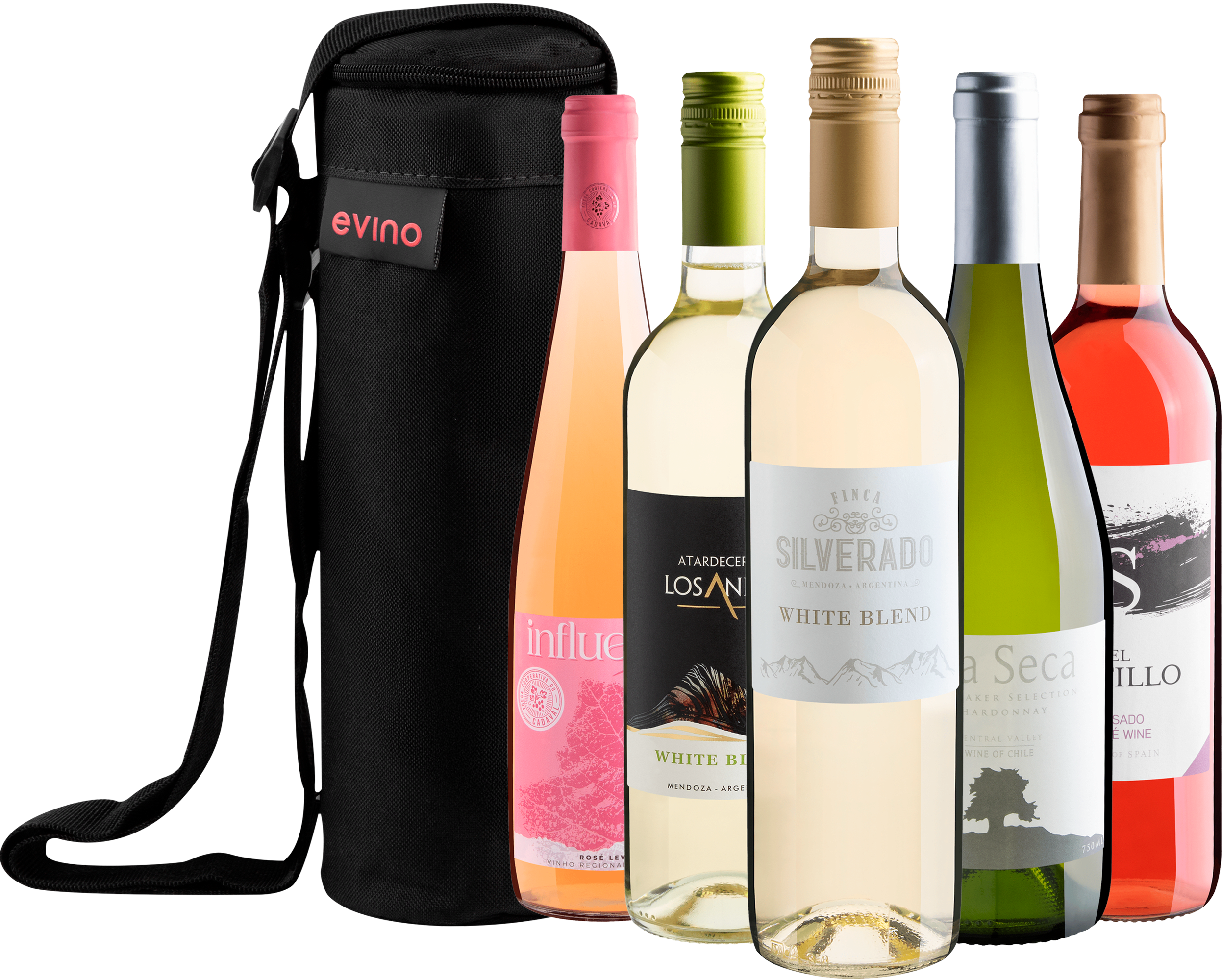 Kit 5 Vinhos Refrescantes + Bolsa Exclusiva Grátis
