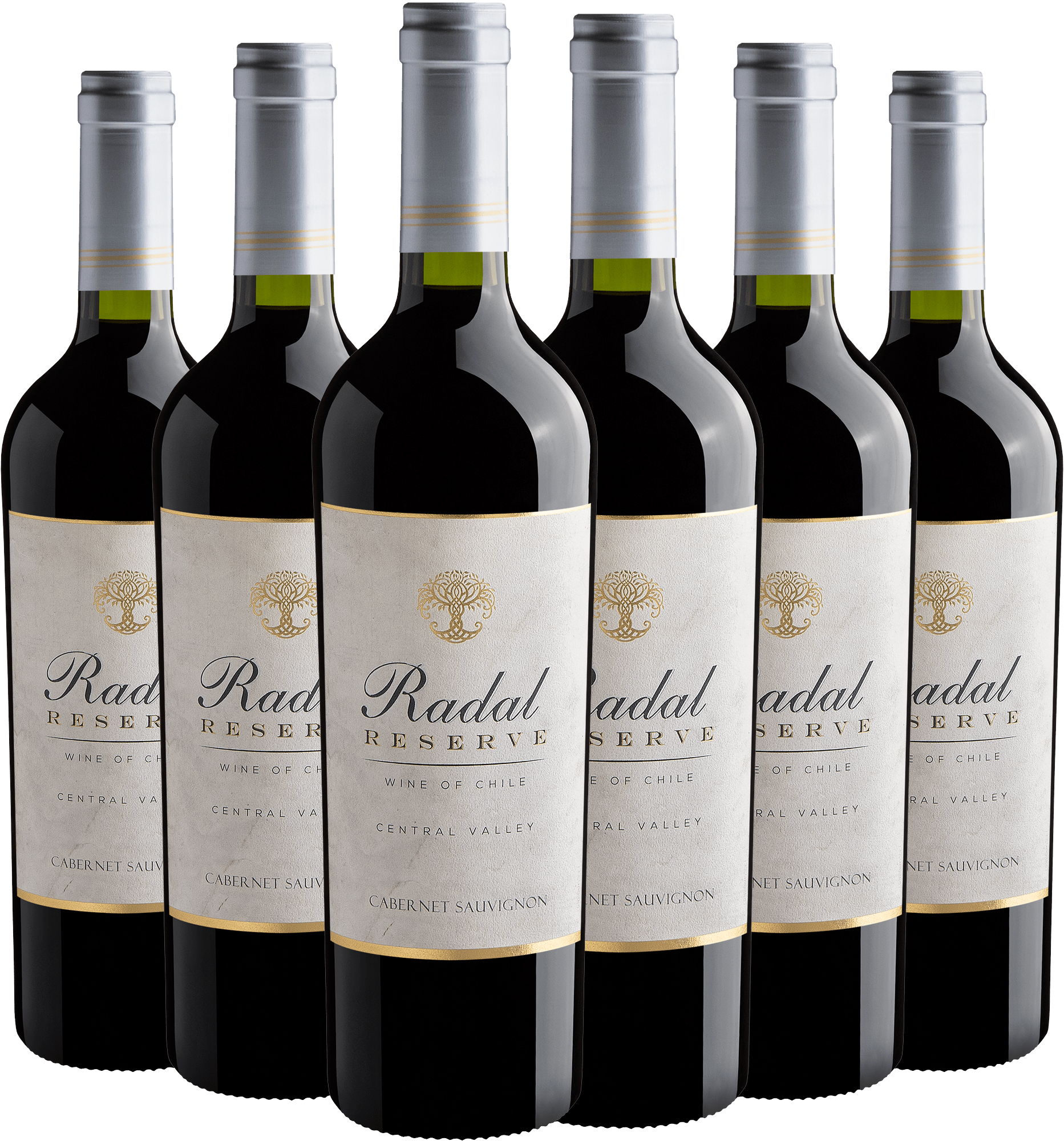 Kit 6 Radal Reserve Cabernet Sauvignon 