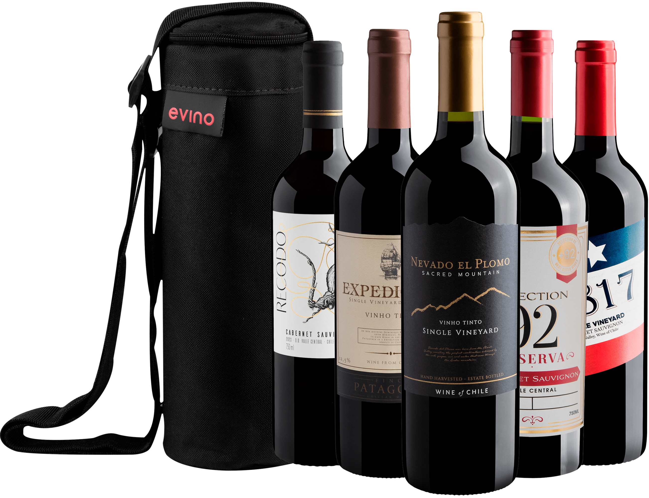 Kit 5 Vinhos Chilenos + Bolsa Exclusiva 