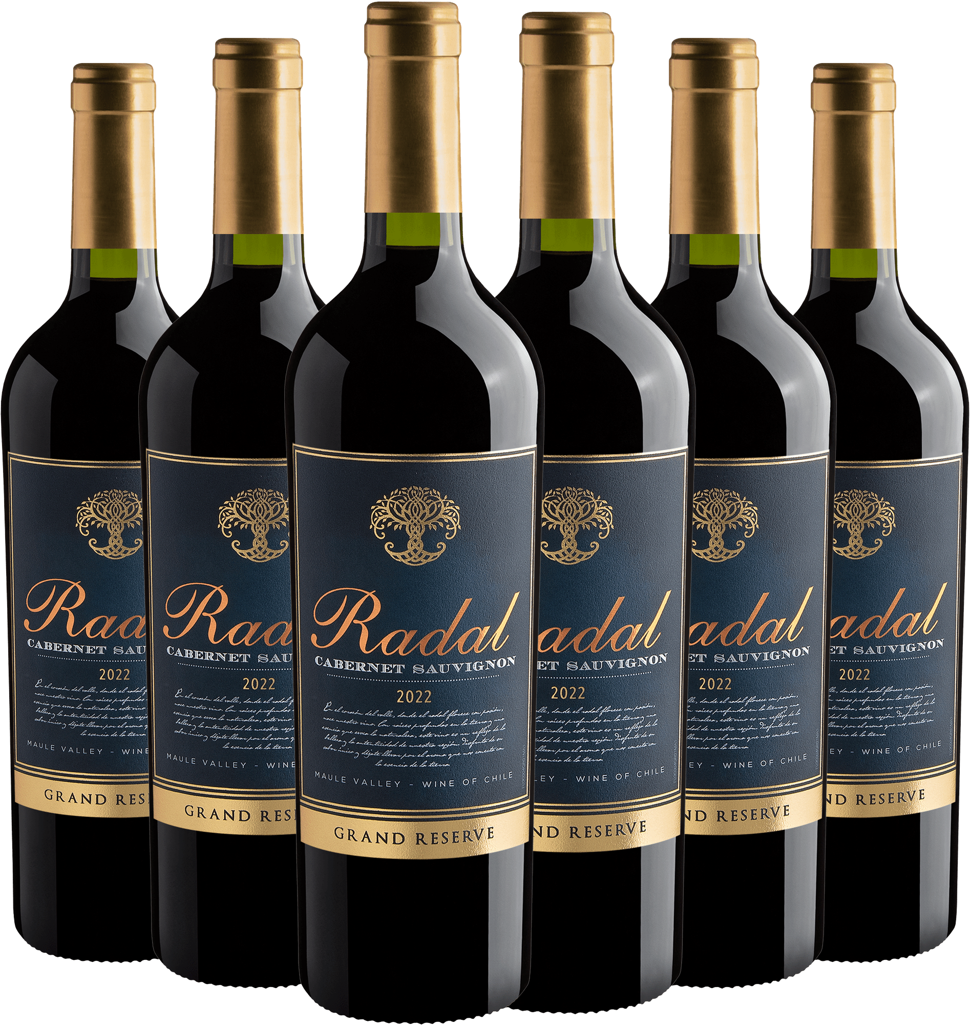 Kit 6 Radal Reserva Cabernet Sauvignon por R$59,90 cada garrafa