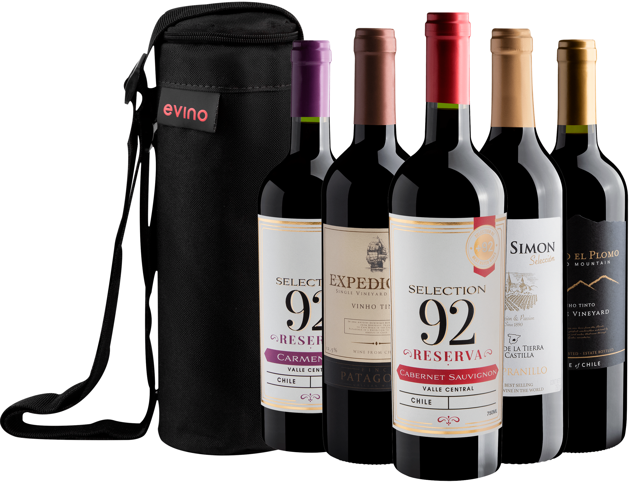 Kit 5 Vinhos Tintos + Bolsa Exclusiva