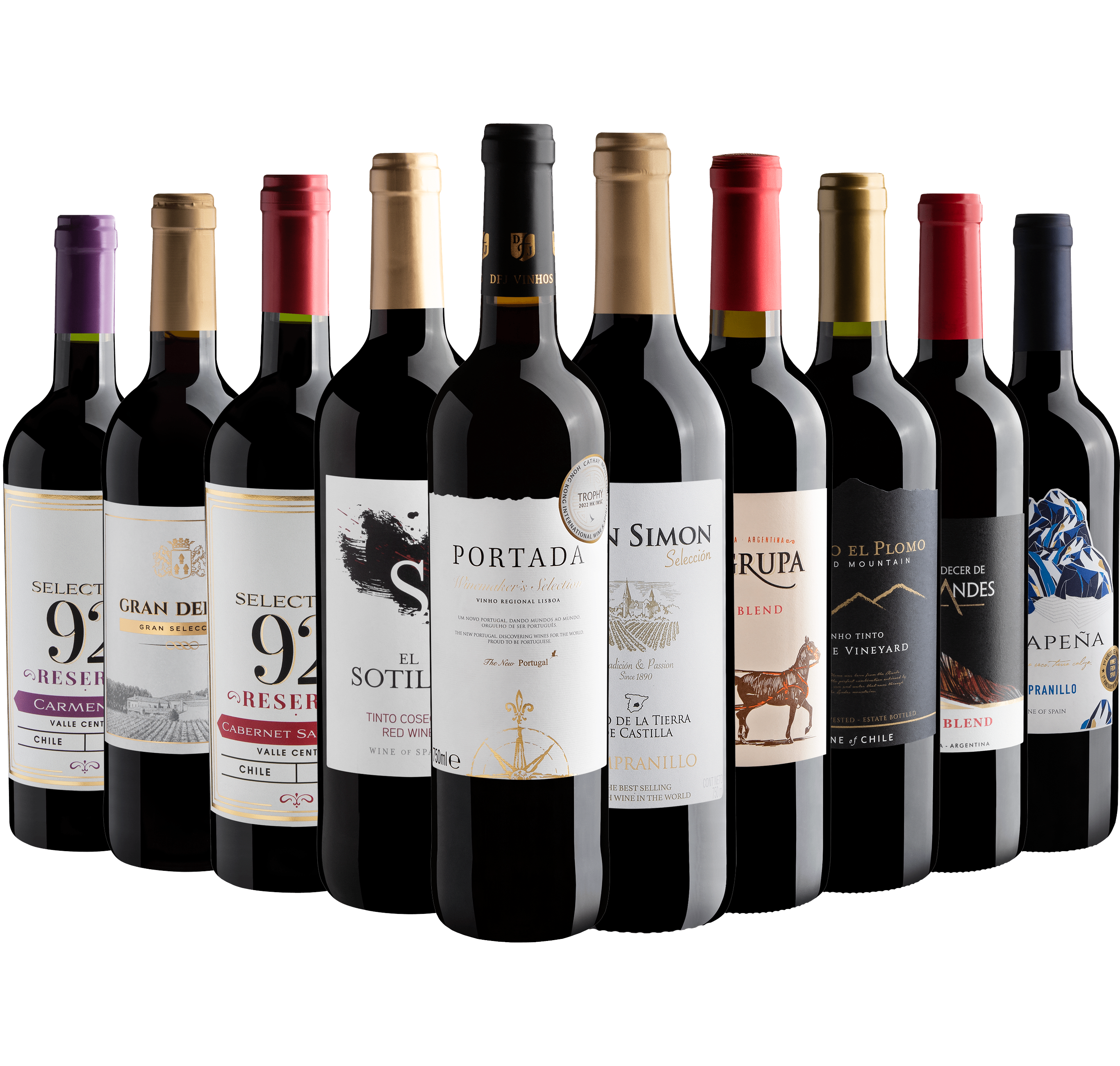 Kit 10 Vinhos Tintos com Portada Winemaker's Selection 